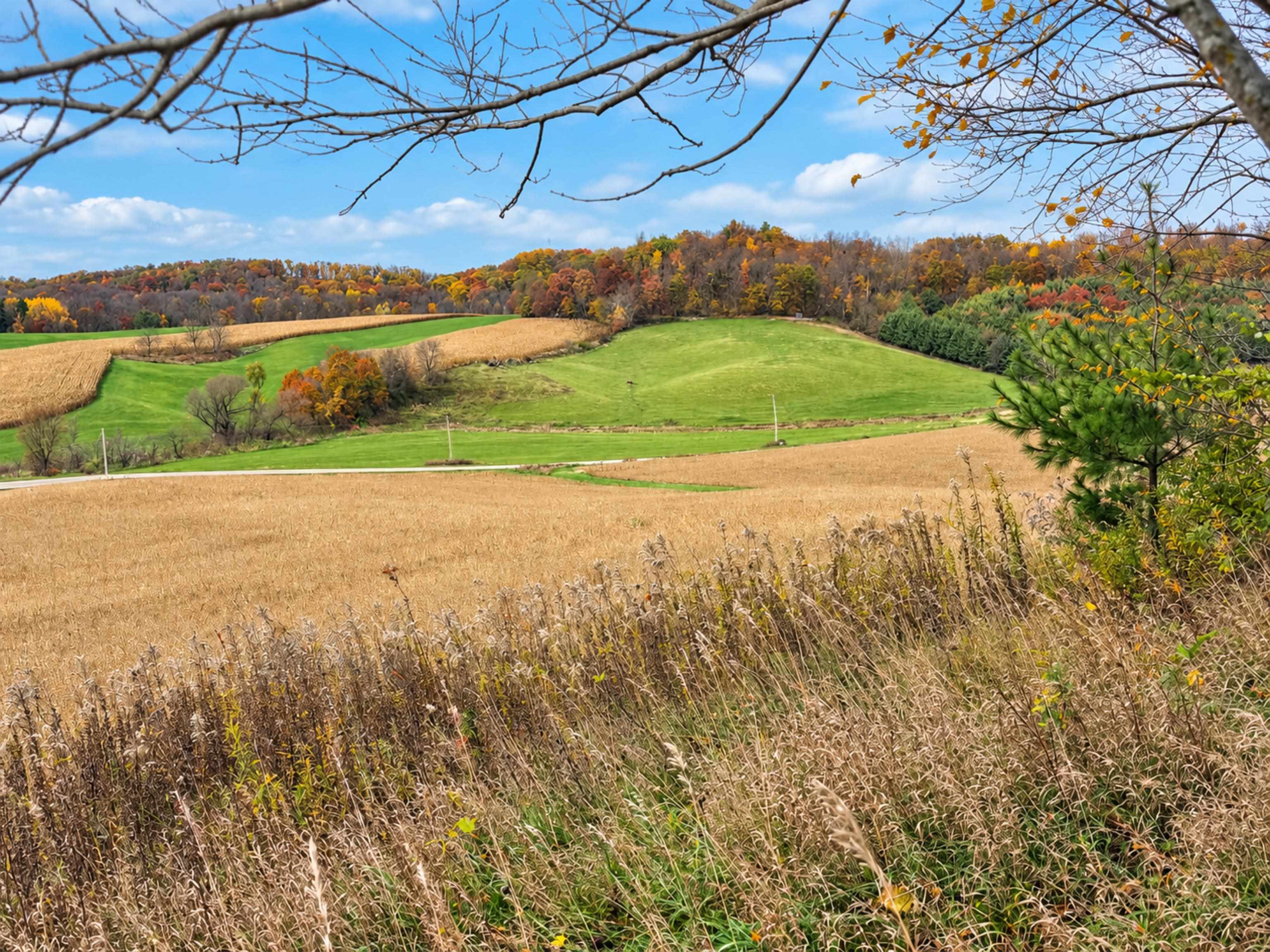 35 acres Outlook Road Road