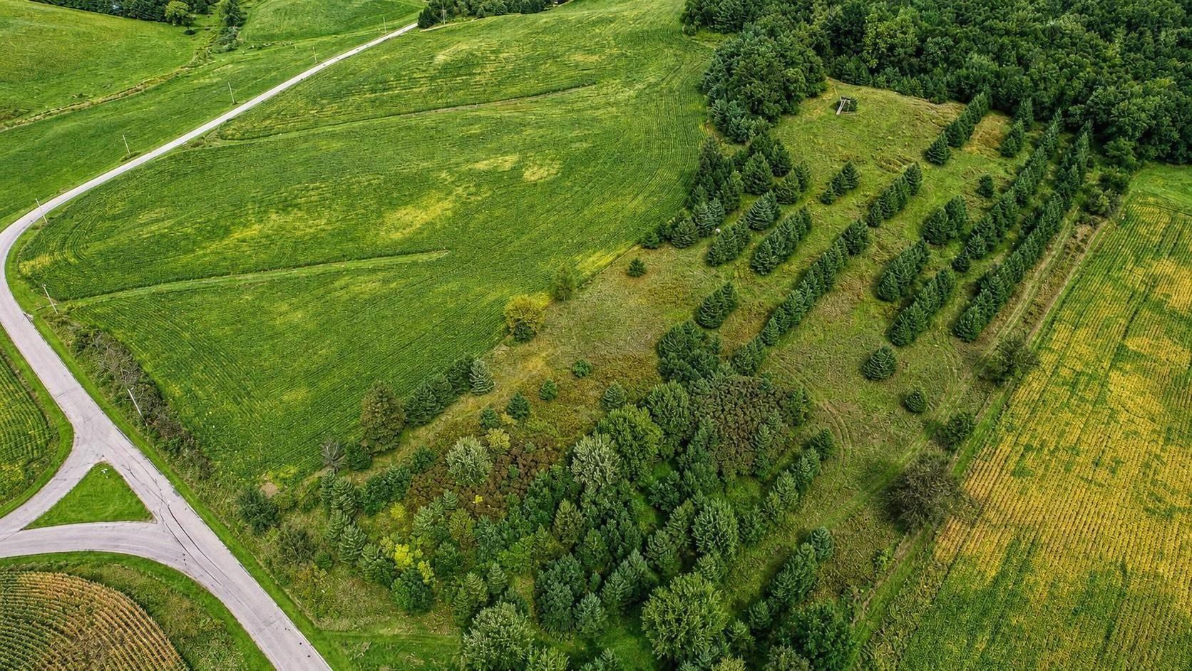 35 acres Outlook Road Road