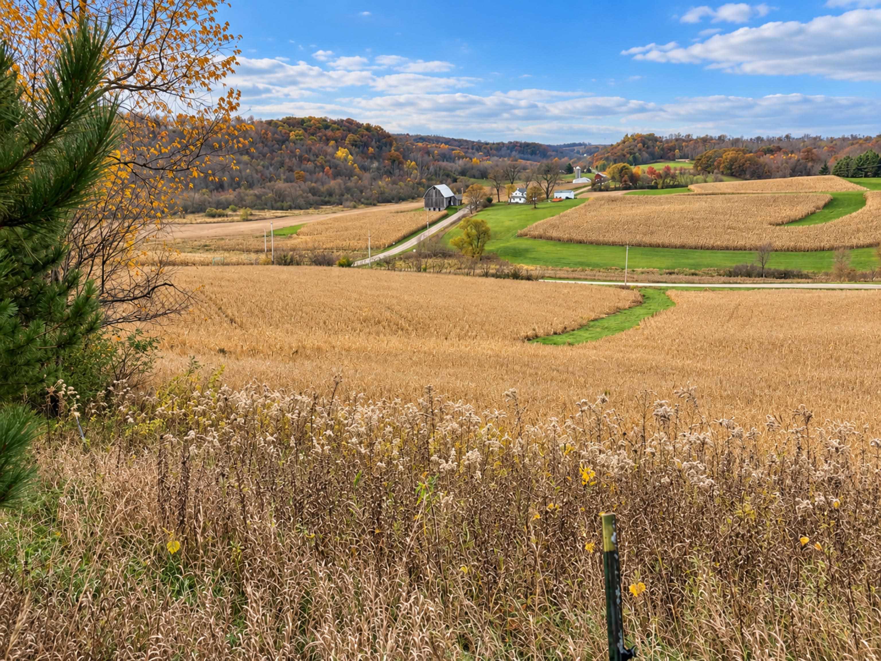 35 acres Outlook Road Road