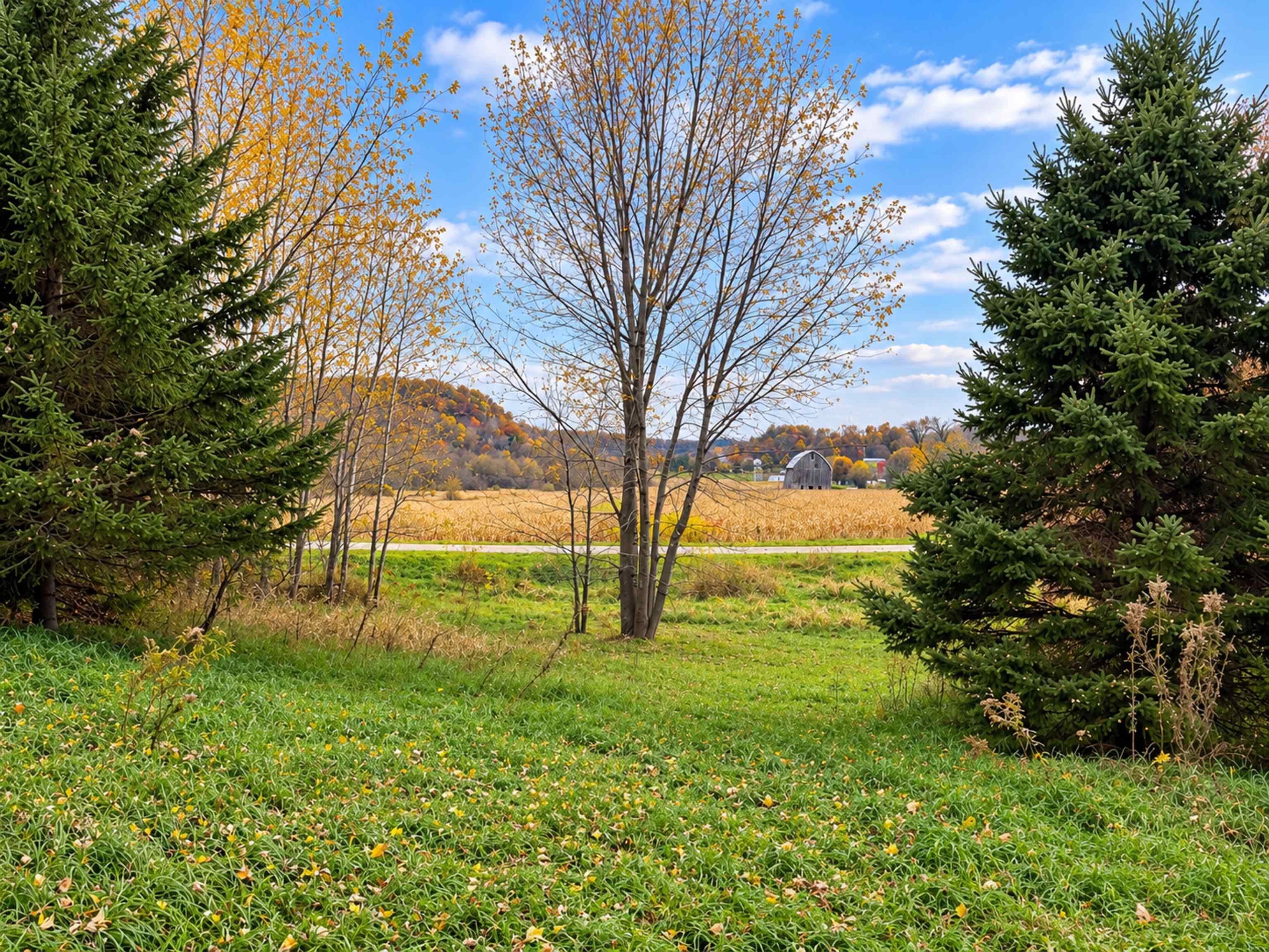 35 acres Outlook Road Road