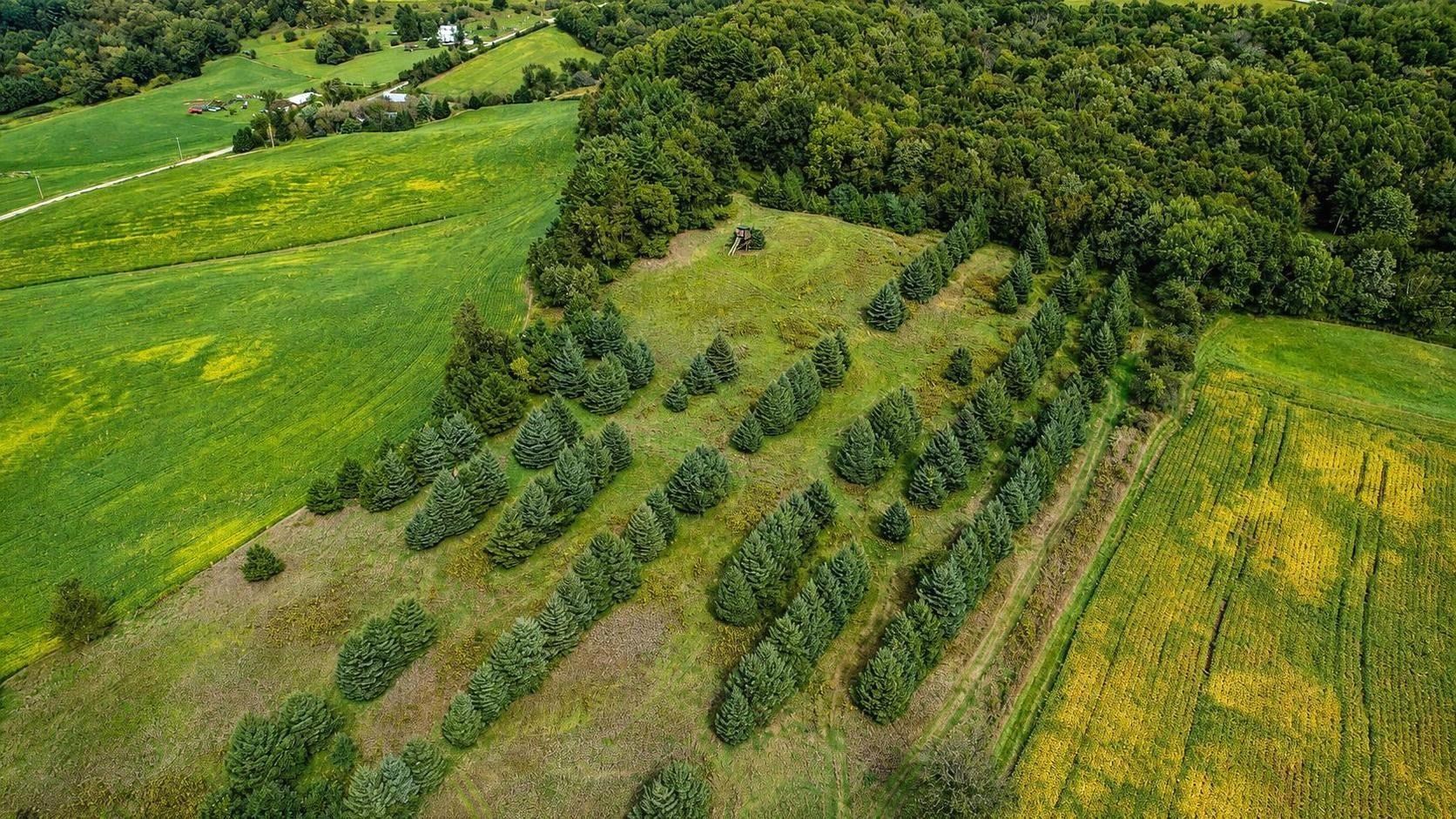 35 acres Outlook Road Road