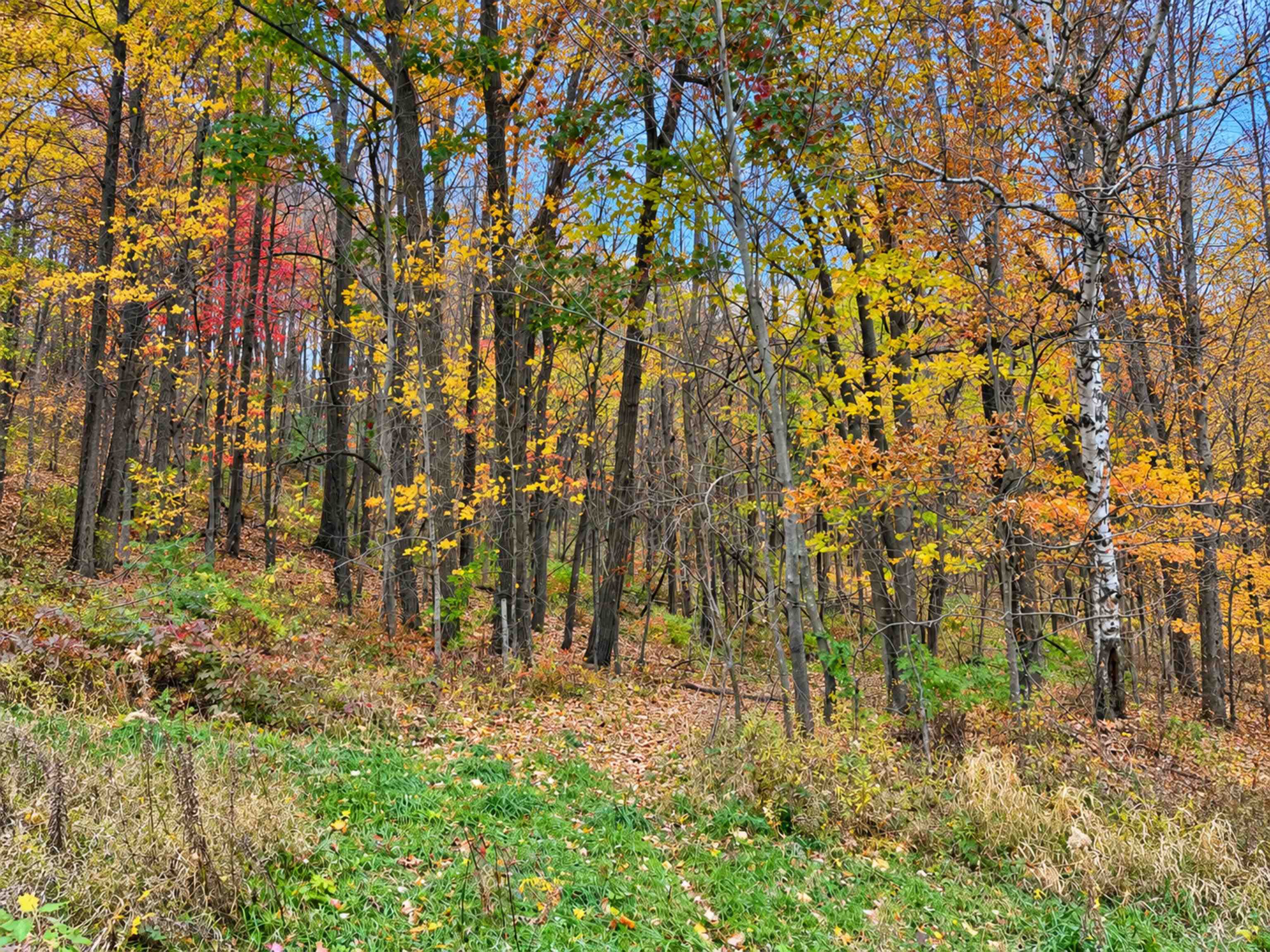 35 acres Outlook Road Road
