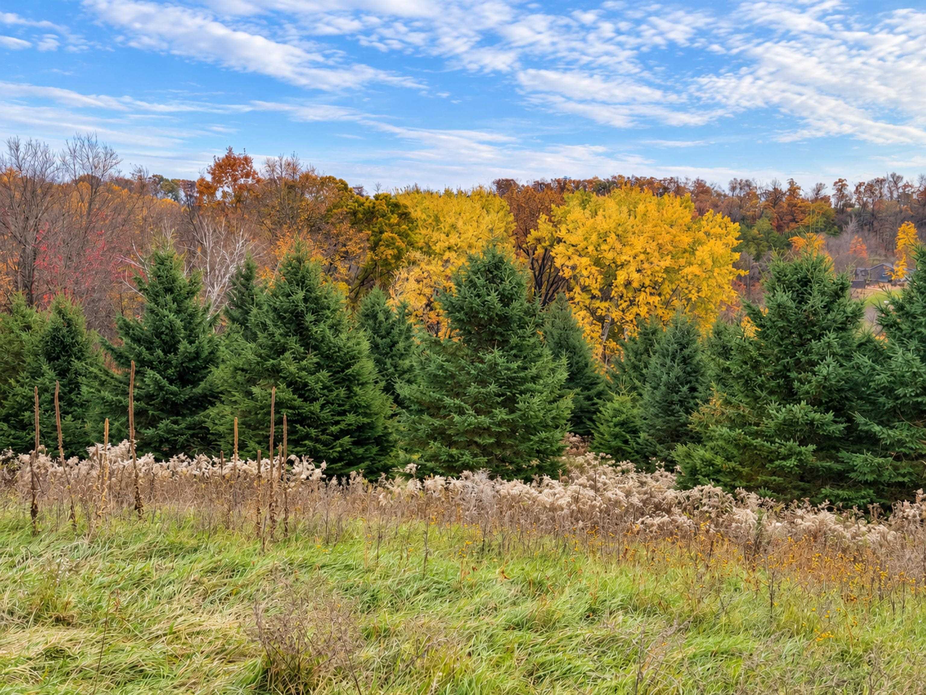 35 acres Outlook Road Road