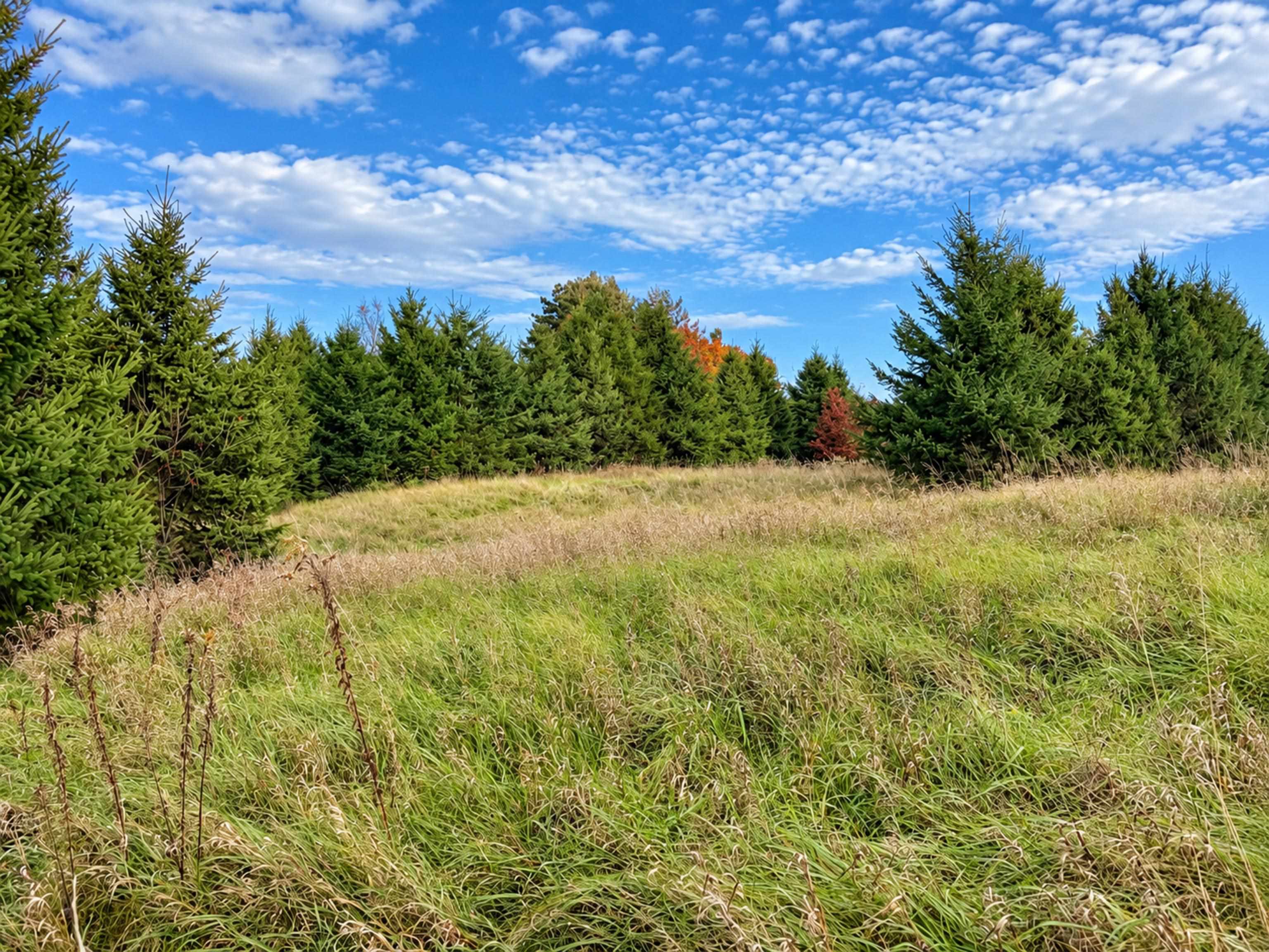 35 acres Outlook Road Road