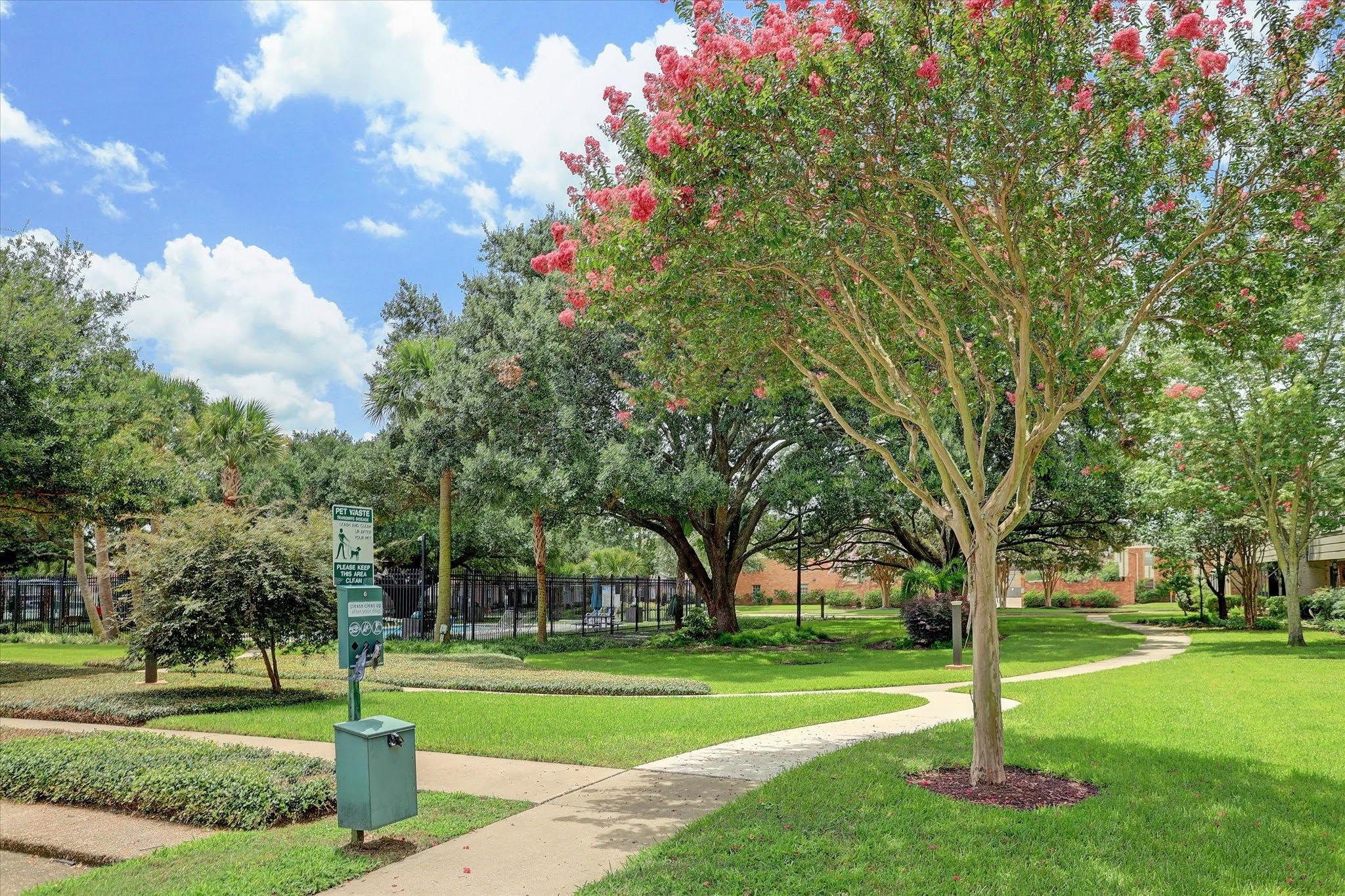 14536 Misty Meadow Lane
