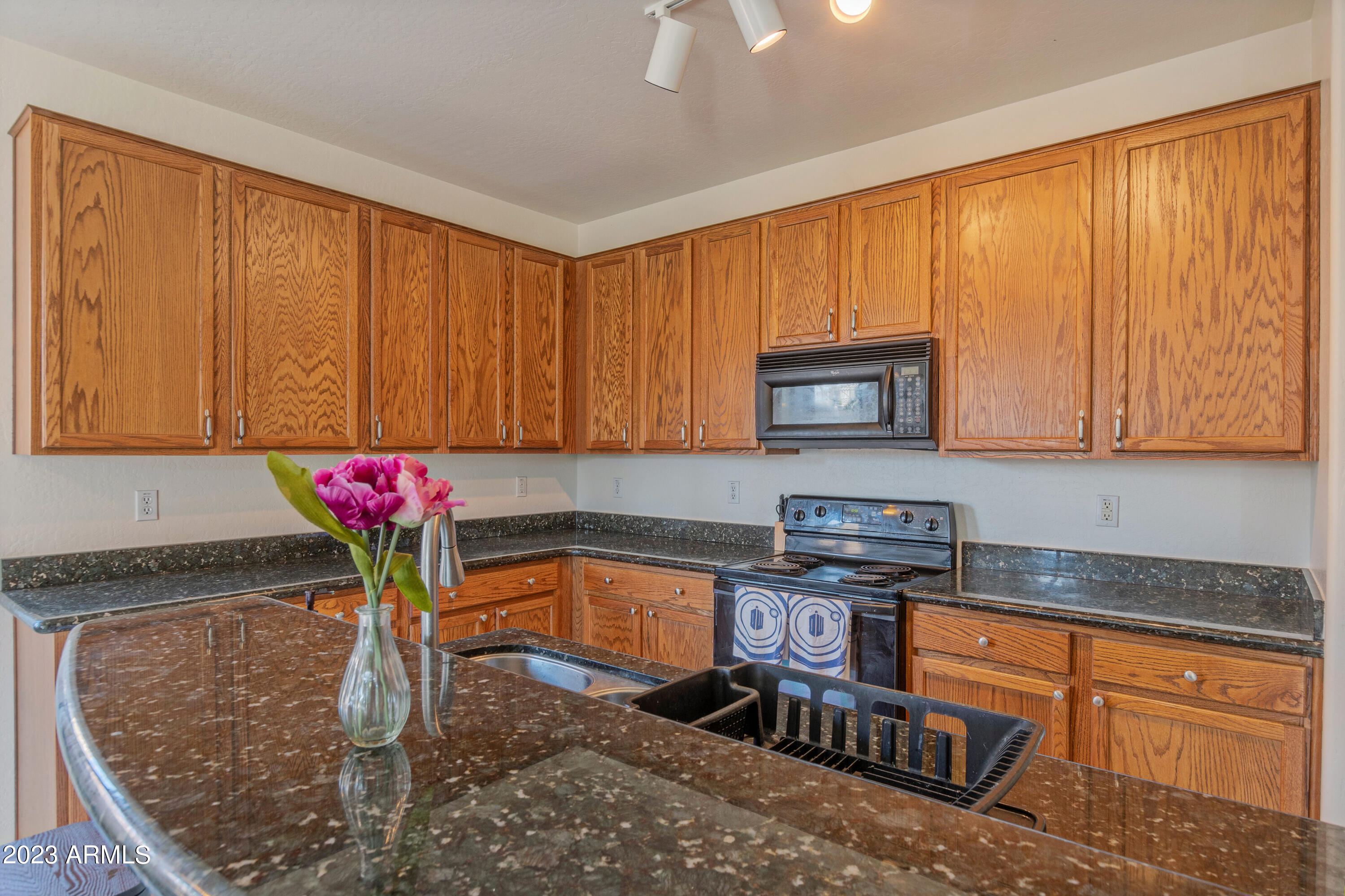 15009 W SHAW BUTTE Drive