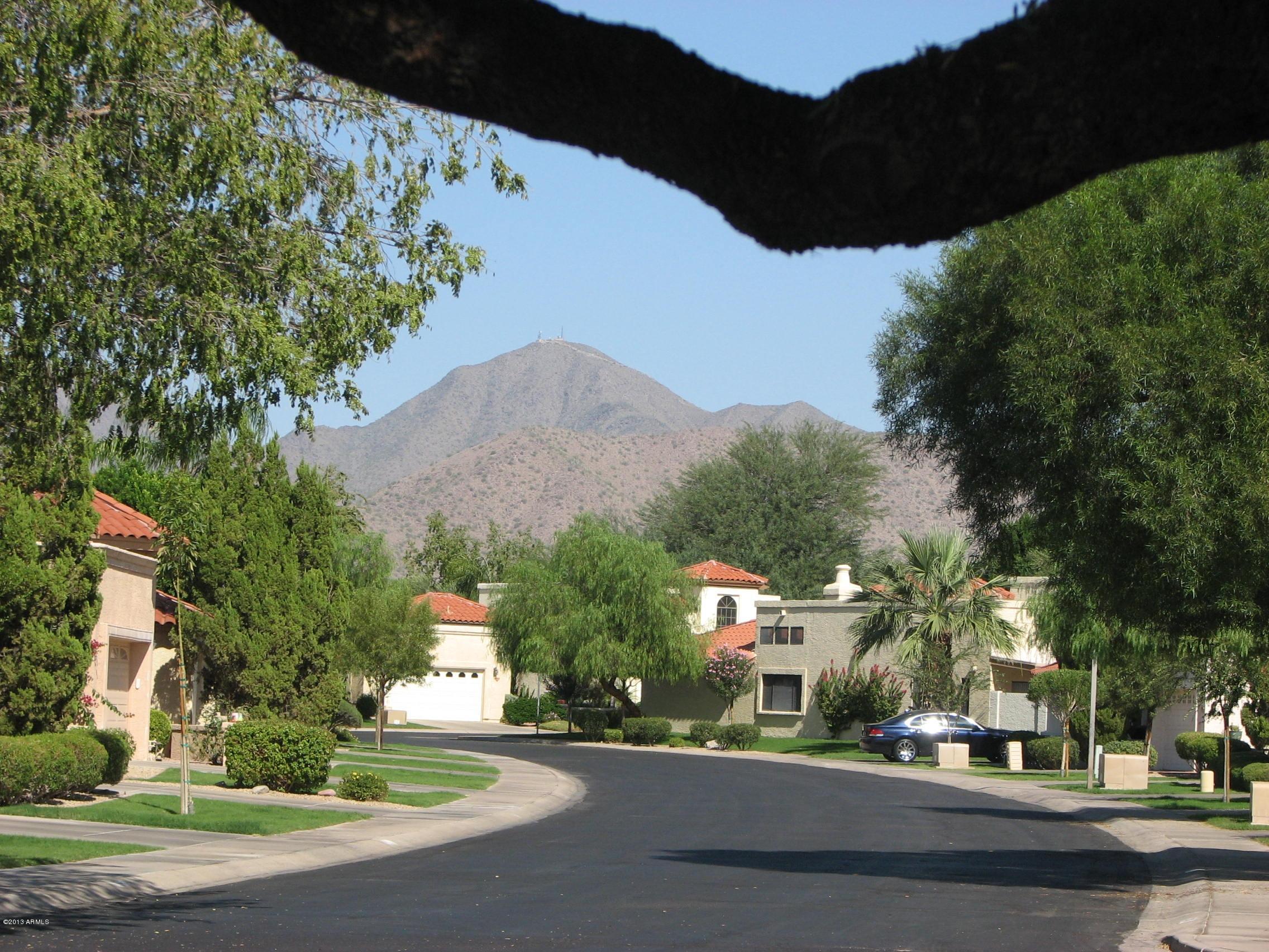 10533 E FANFOL Lane, 0060