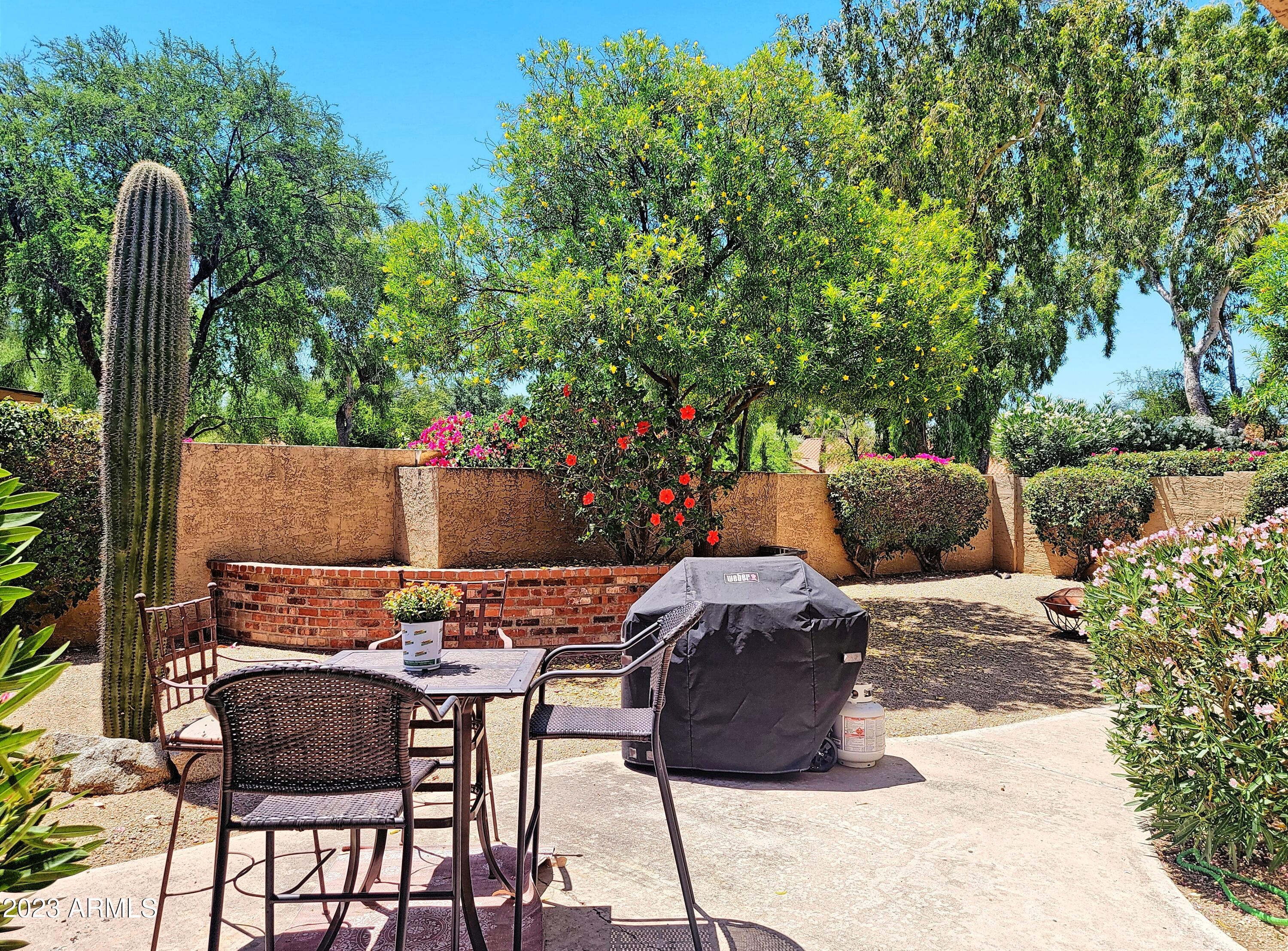 10533 E FANFOL Lane, 0060