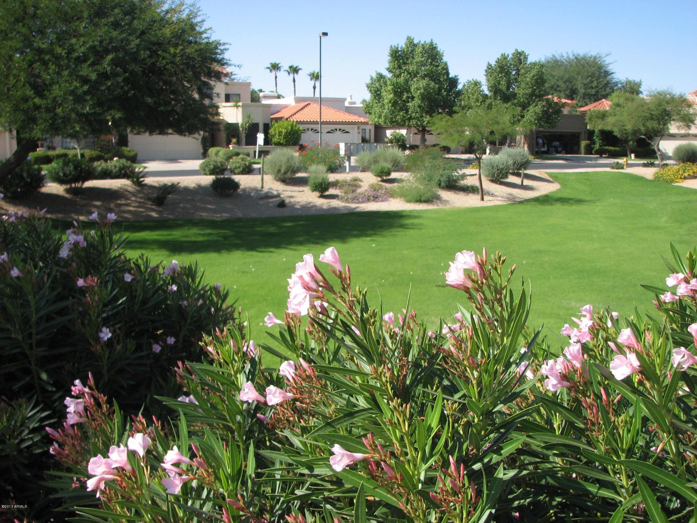 10533 E FANFOL Lane, 0060