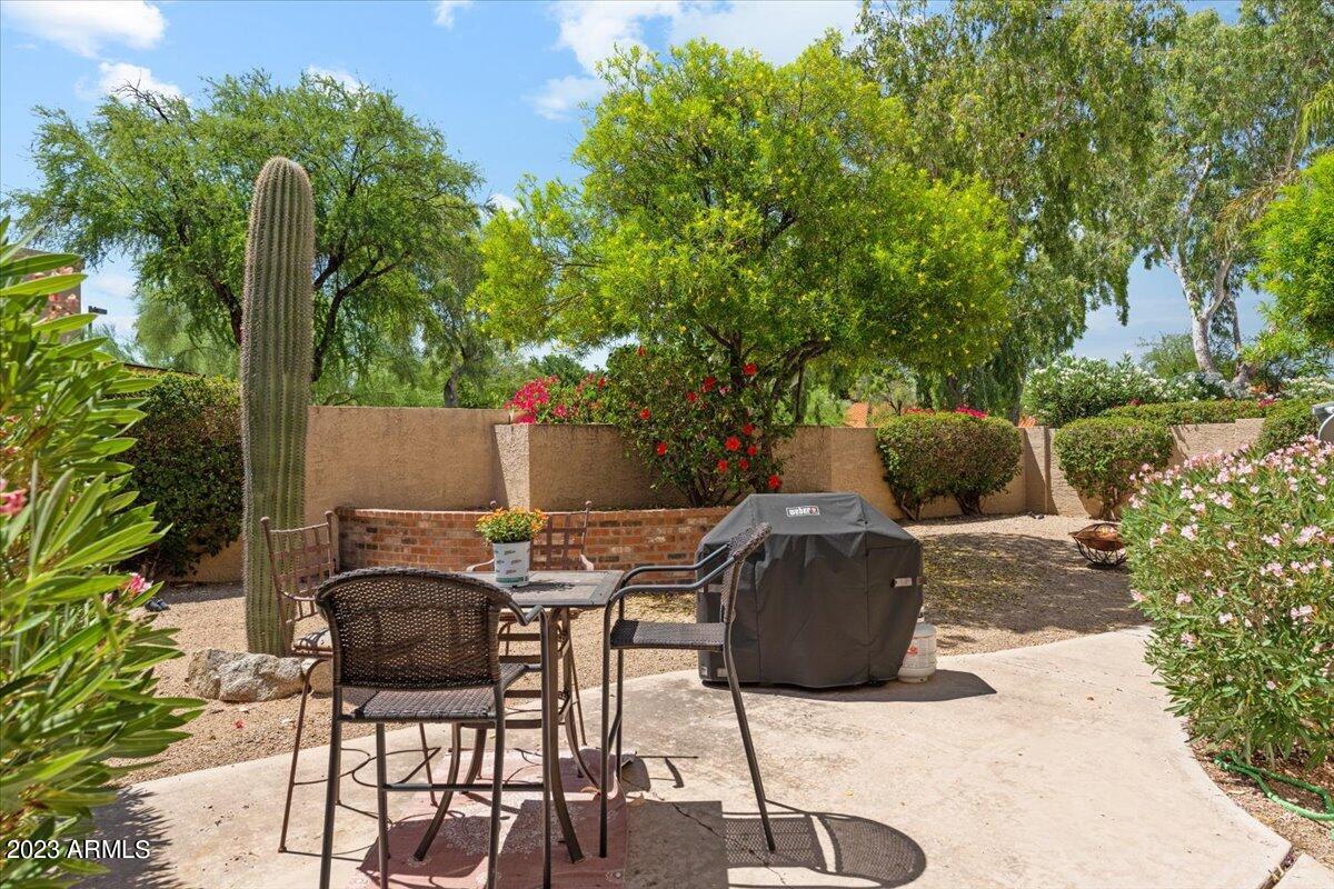 10533 E FANFOL Lane, 0060