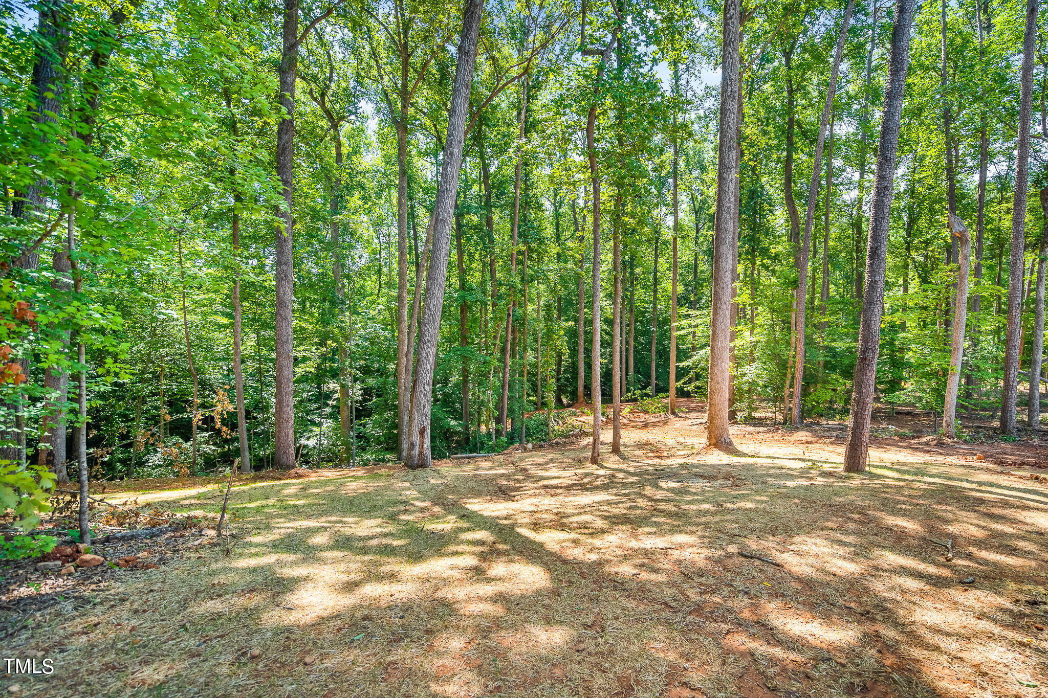 7595 Cypress Drive