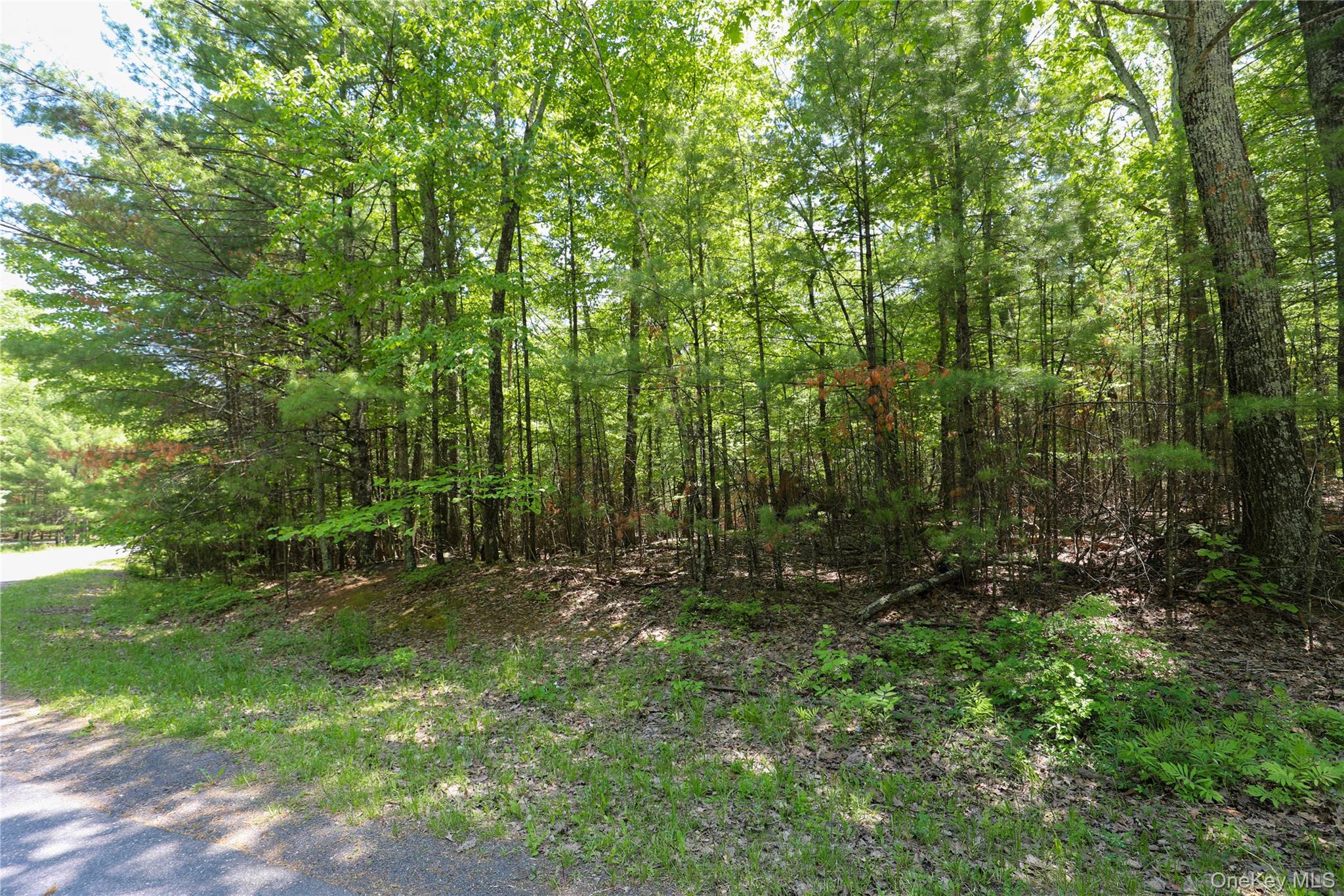 TBD Bristol Hill Road
