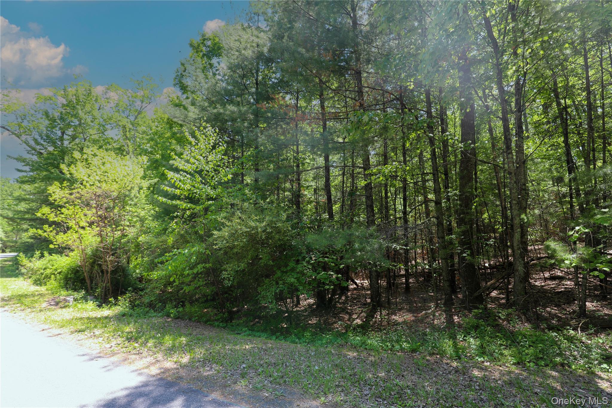 TBD Bristol Hill Road
