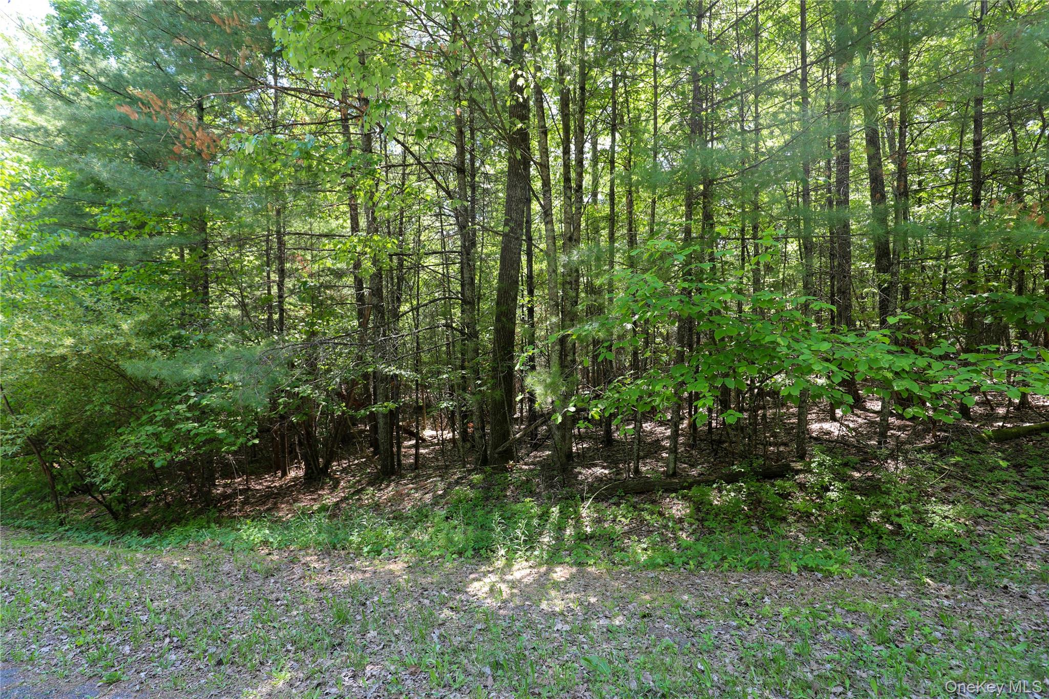 TBD Bristol Hill Road