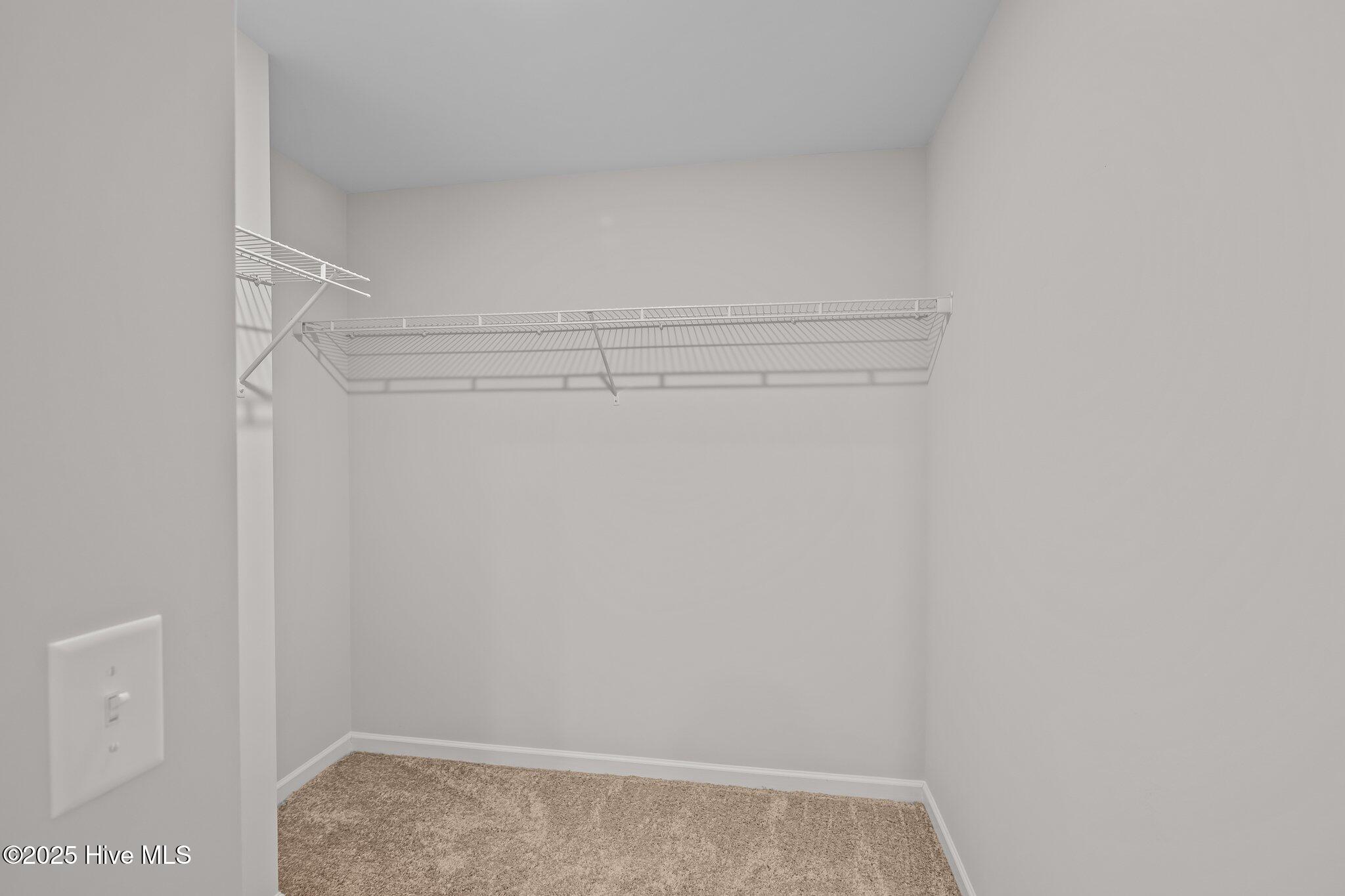 1003 Tawney Trace