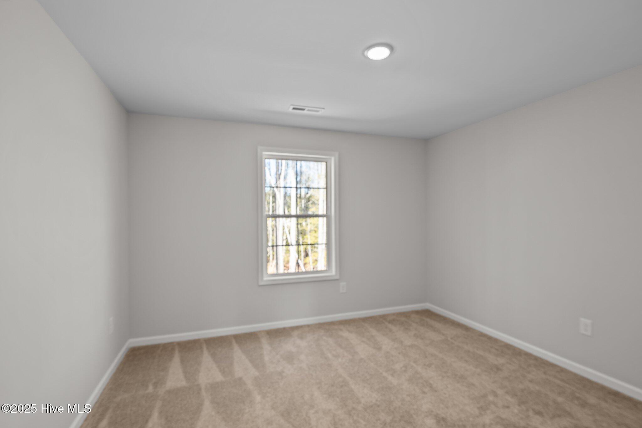 1003 Tawney Trace