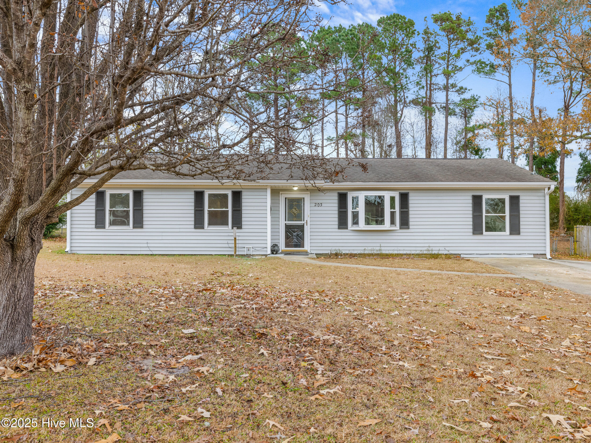 203 Devon Court