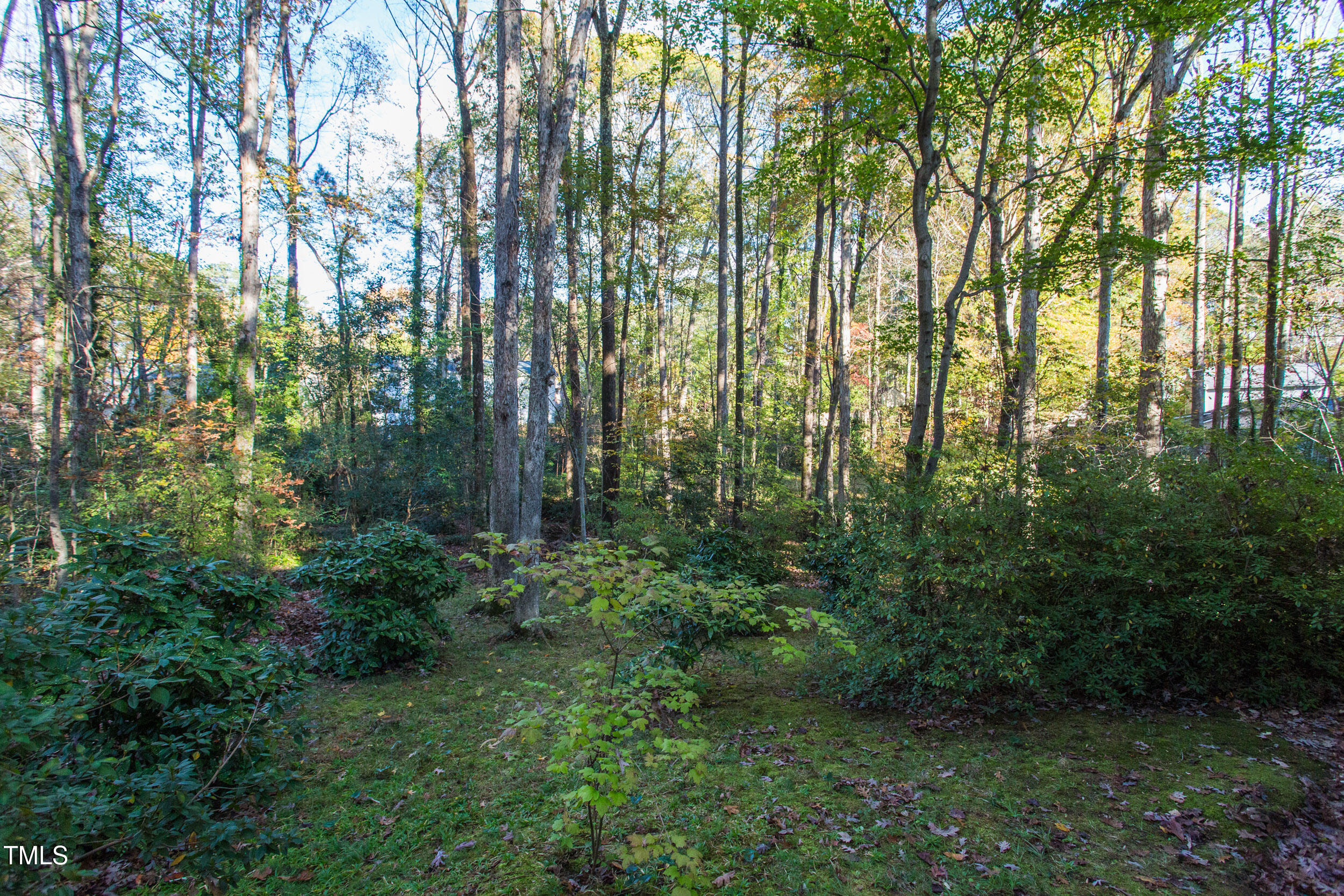 1229 Gatehouse Drive