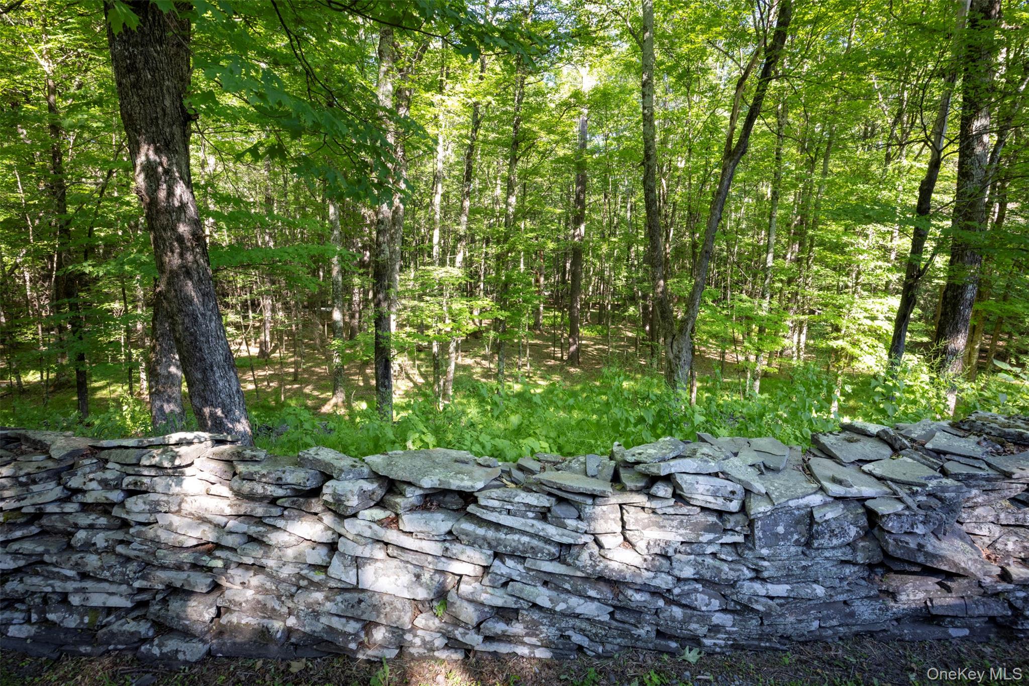 19 Blues Quarry
