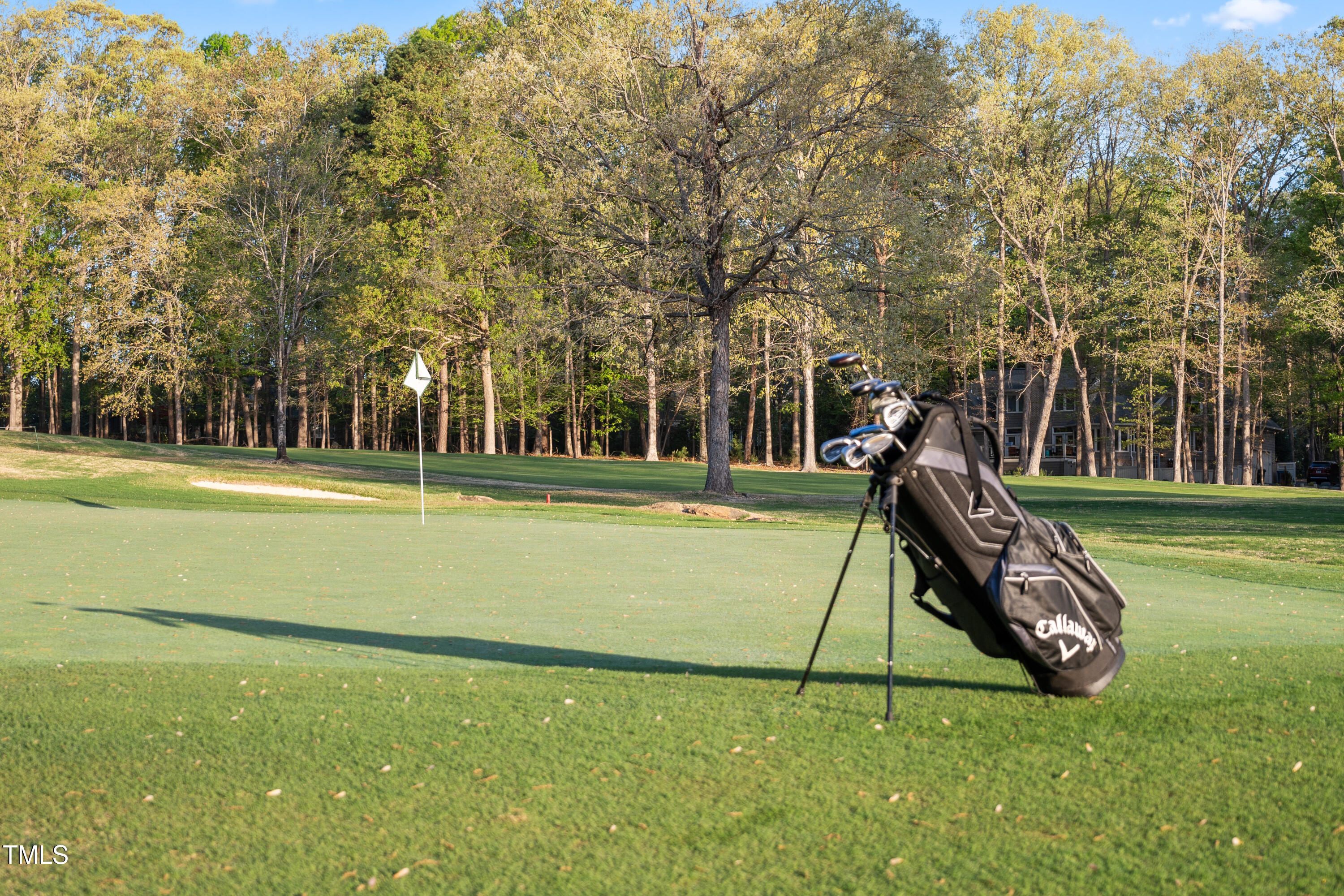 1213 Rocky Point Lane