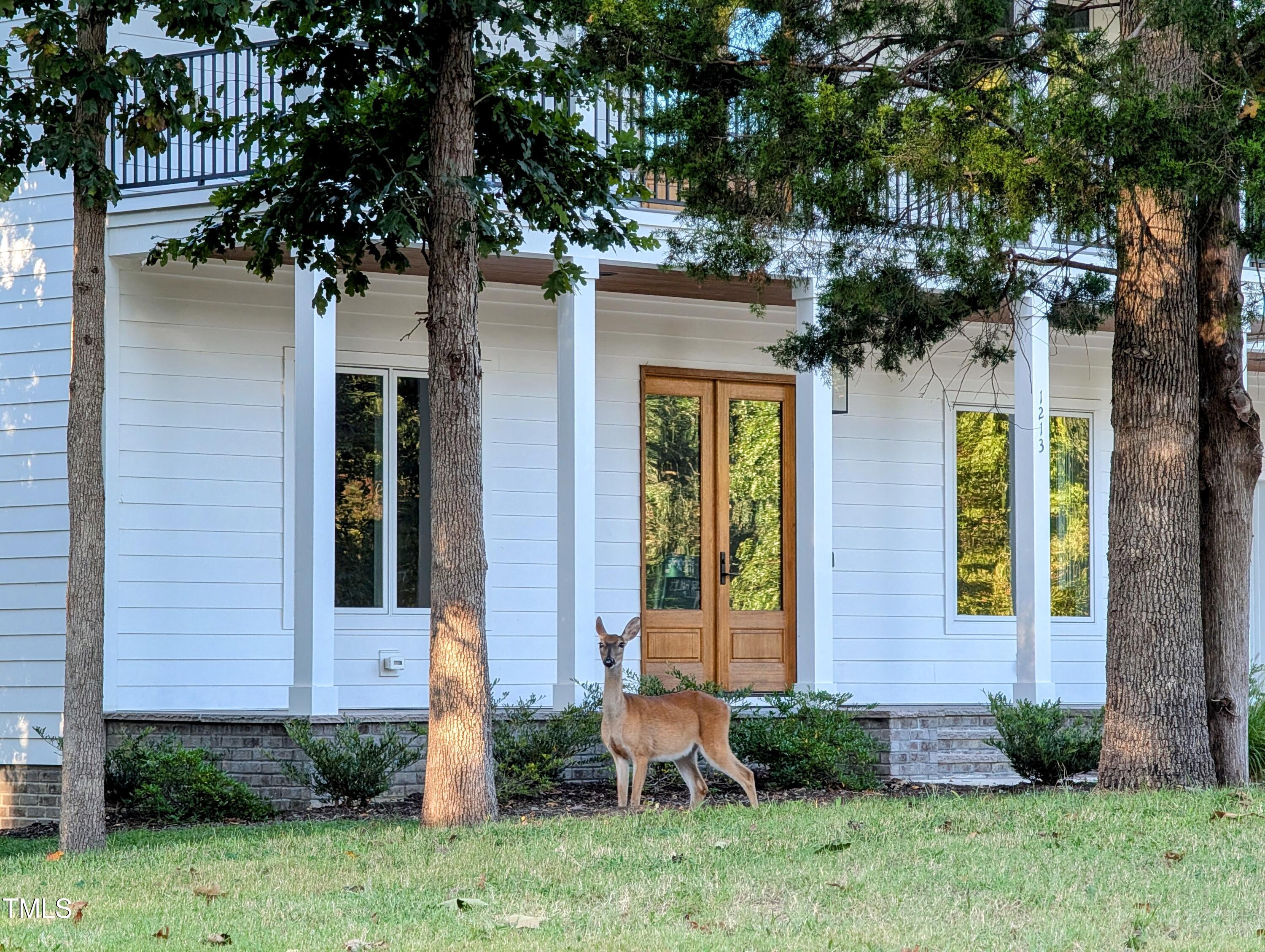 1213 Rocky Point Lane