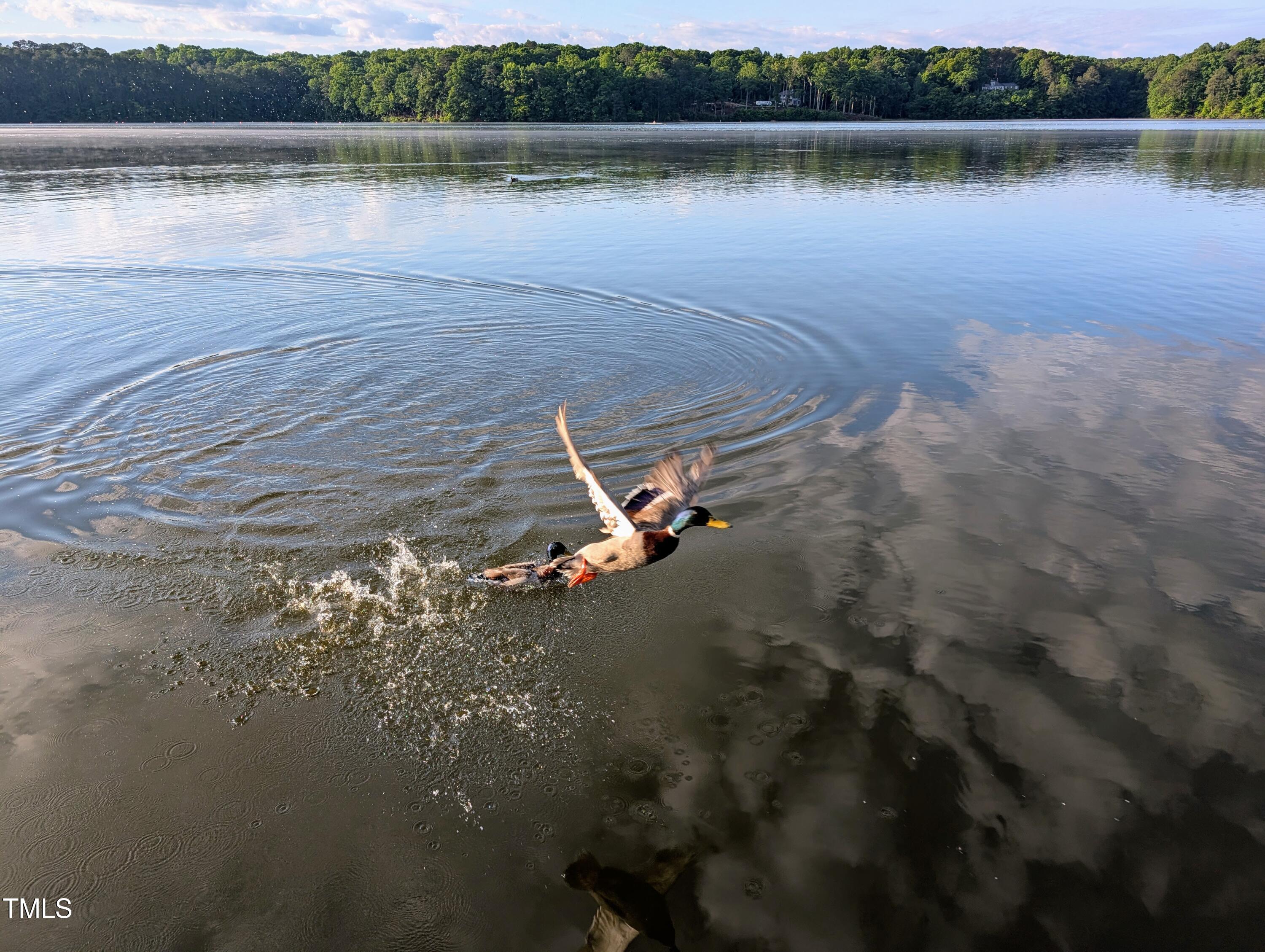 3728 Westbury Lake Drive