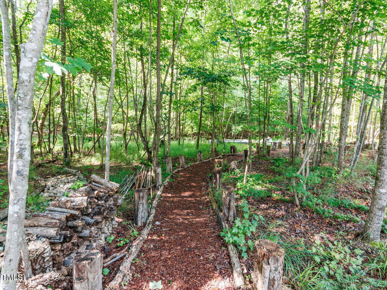3601 Carole Court