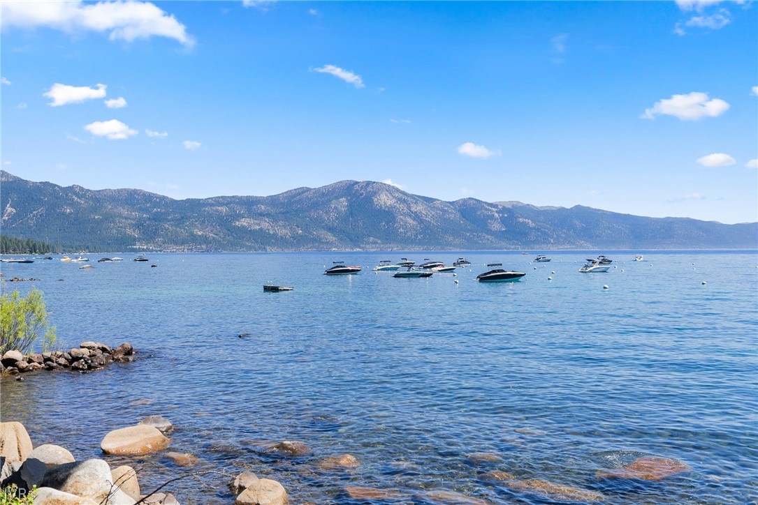 501 Lakeshore Boulevard 15