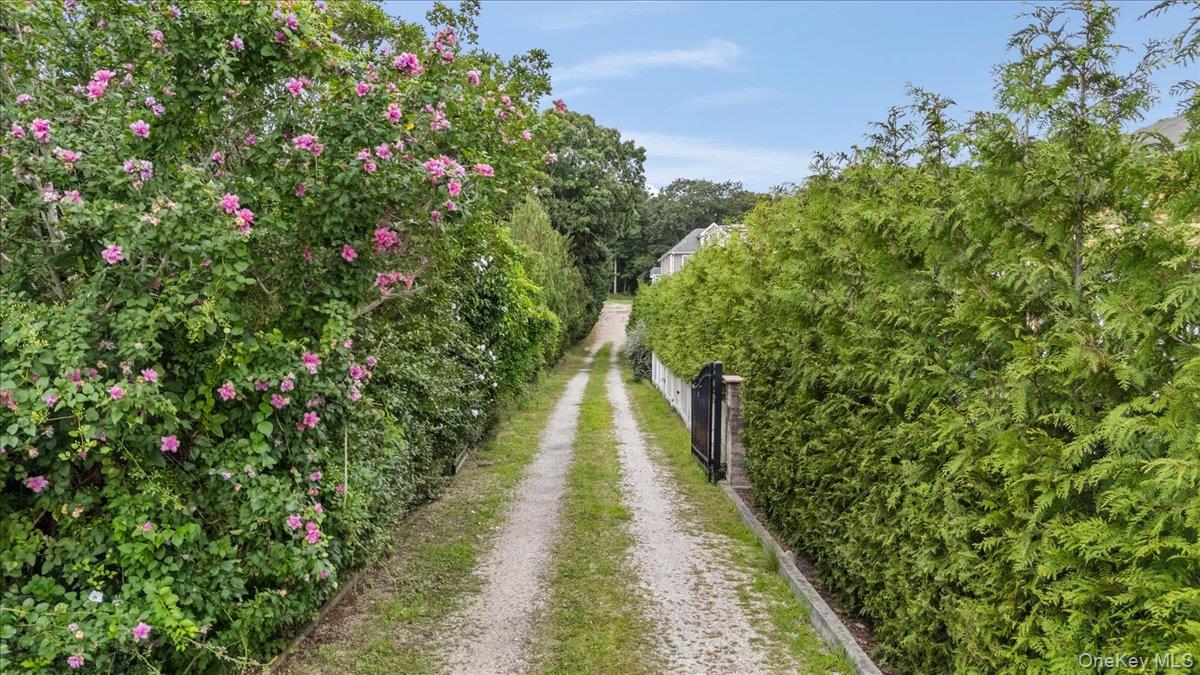 33A Newtown Road