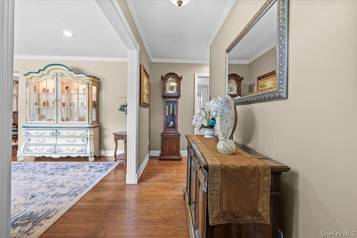 15 Robinson Avenue