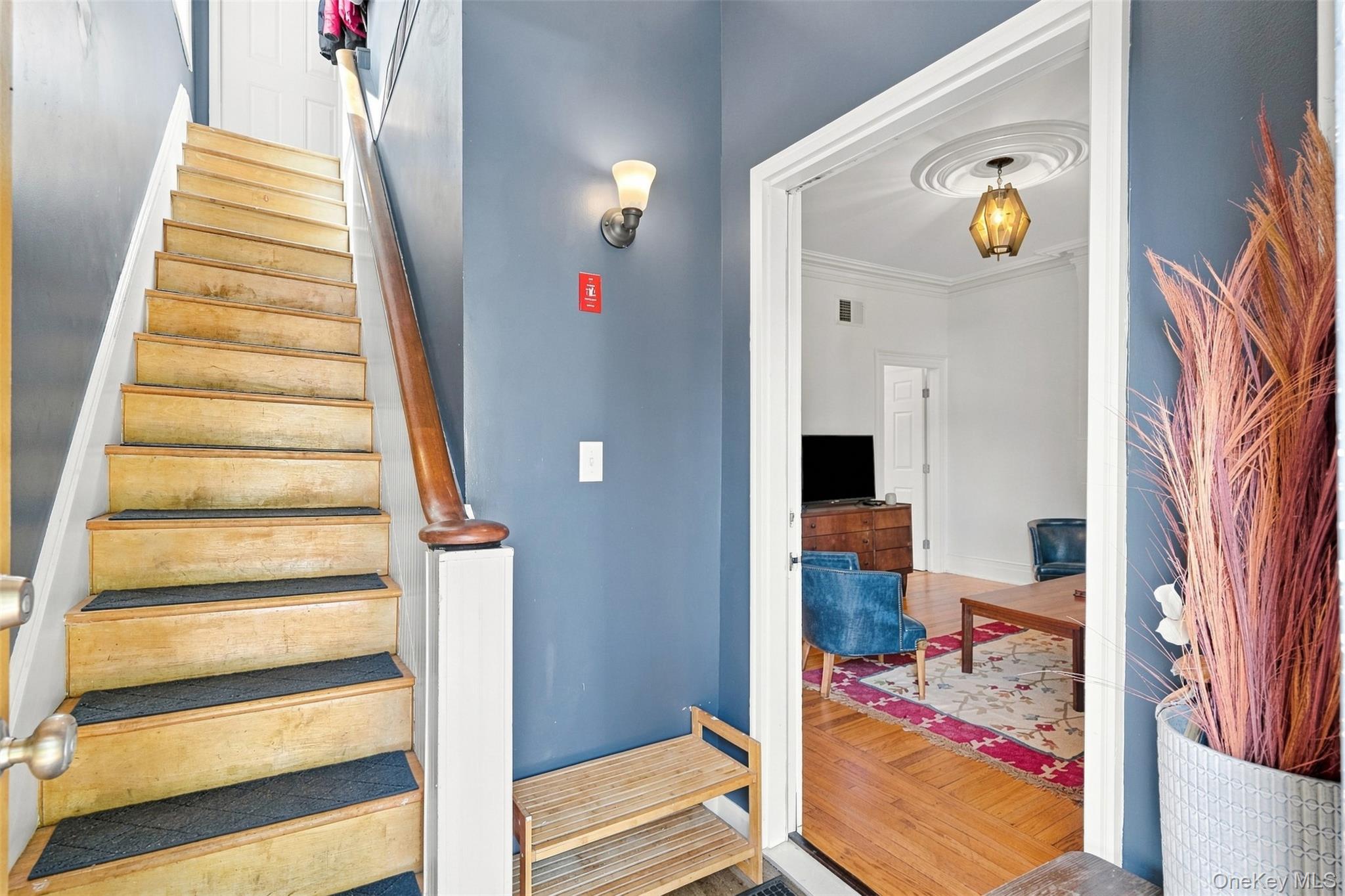 33 Hone Street