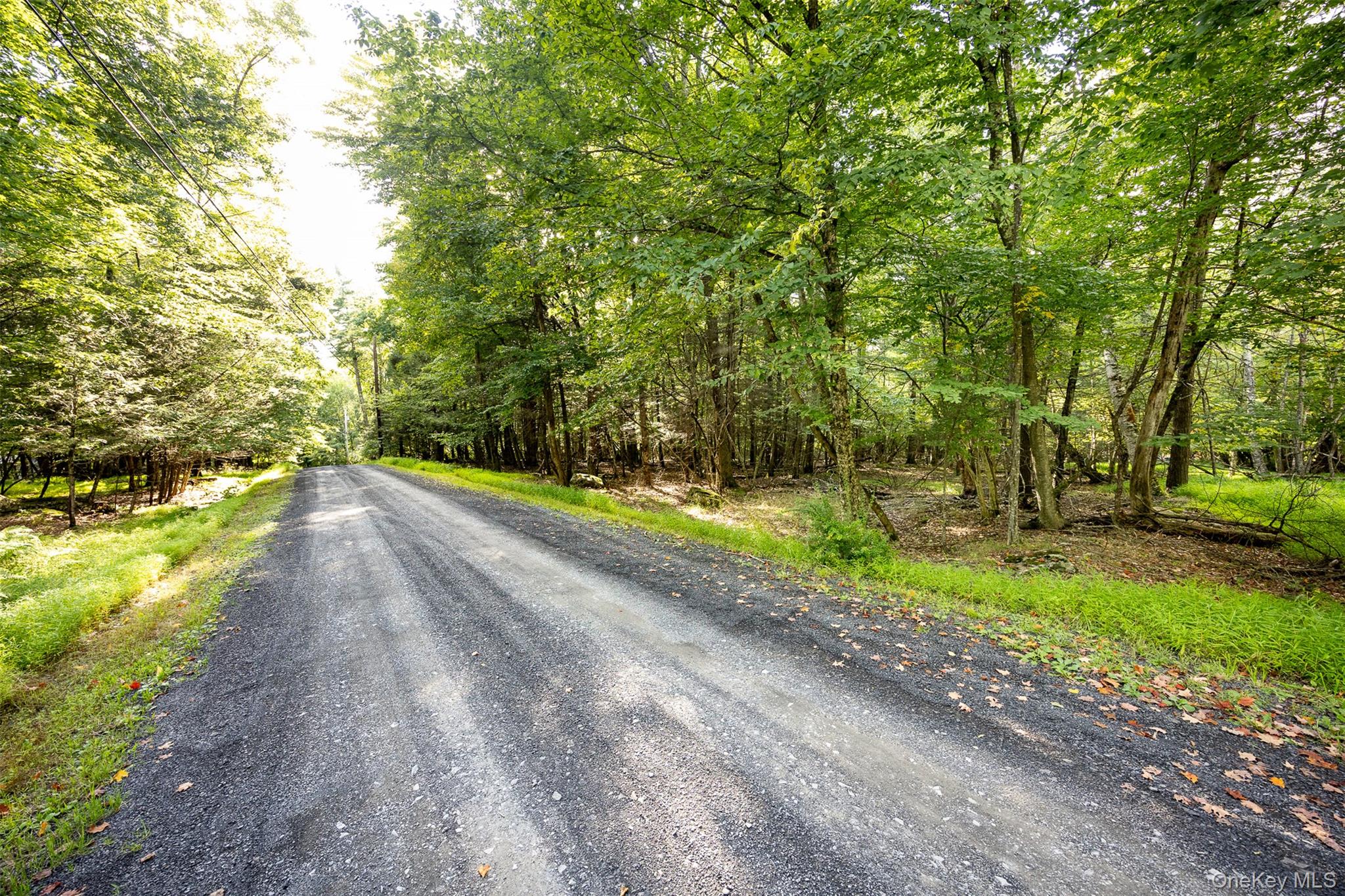 Lot 6 Mt Guardian Road