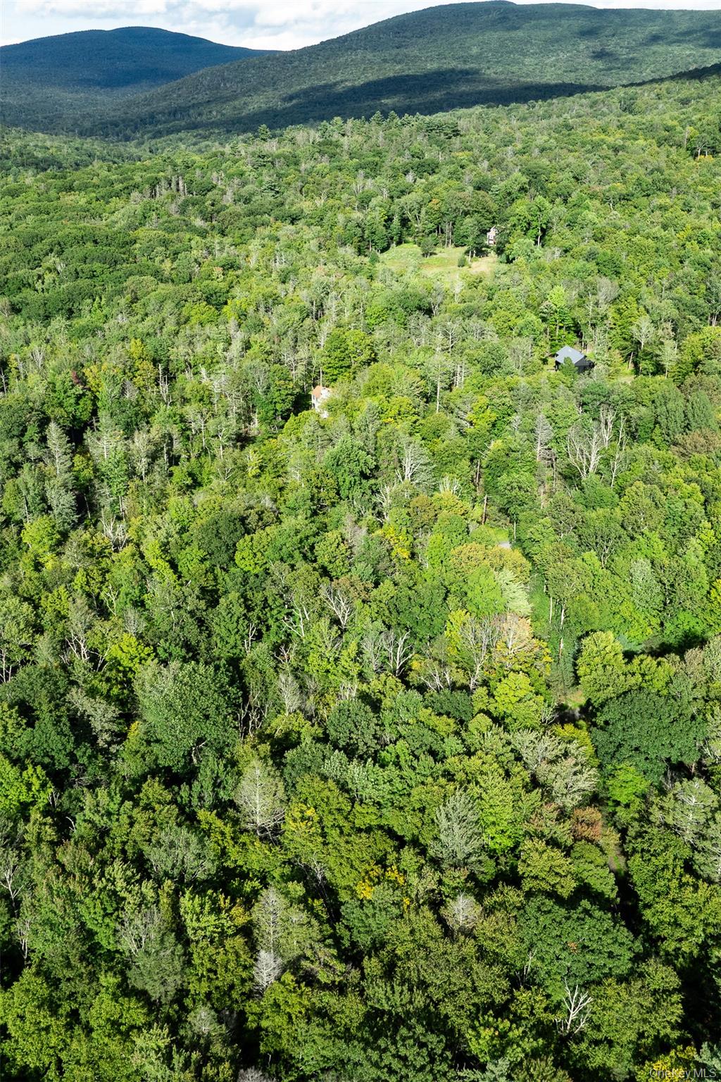 Lot 6 Mt Guardian Road