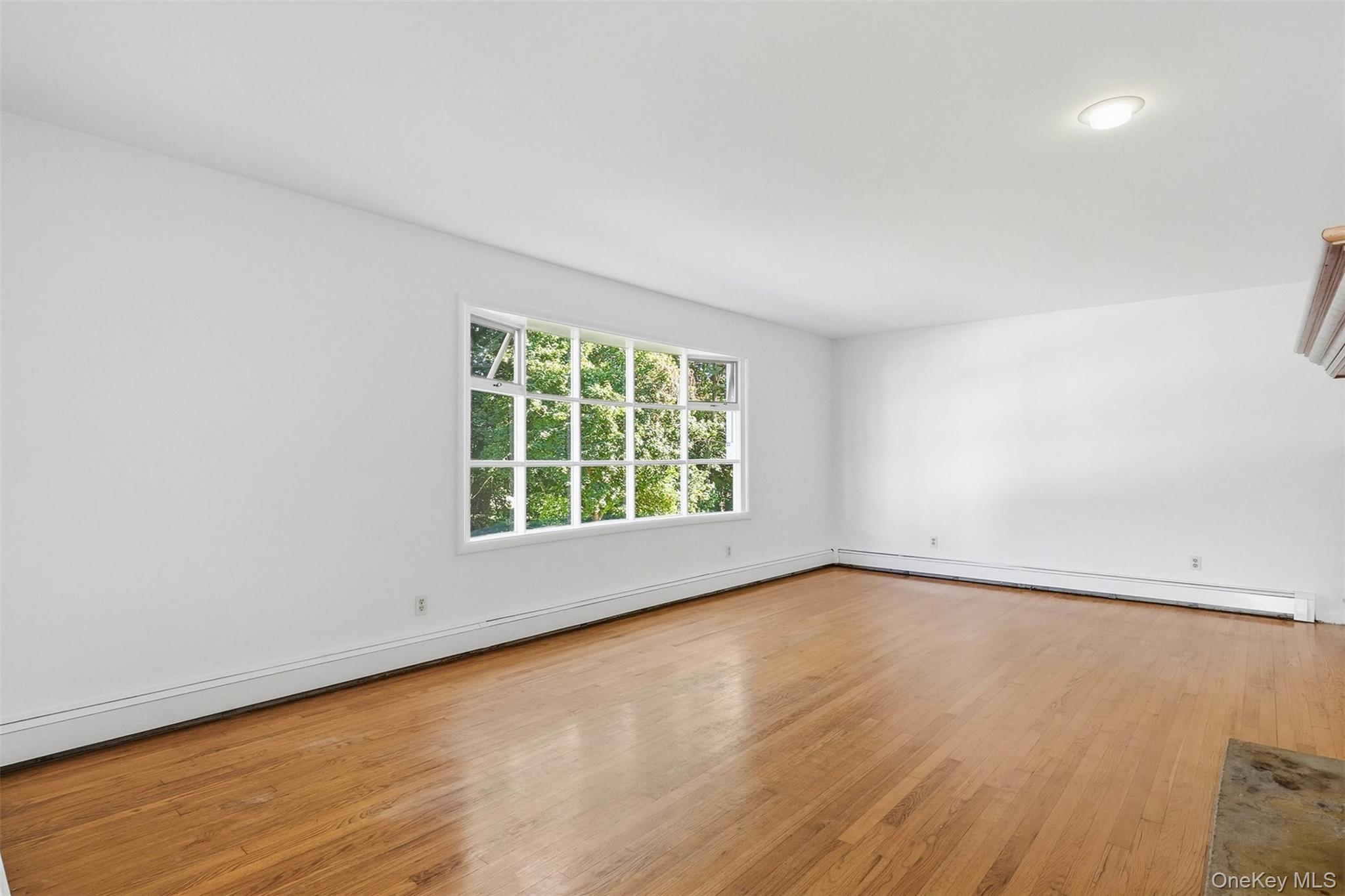 19 Miron Drive