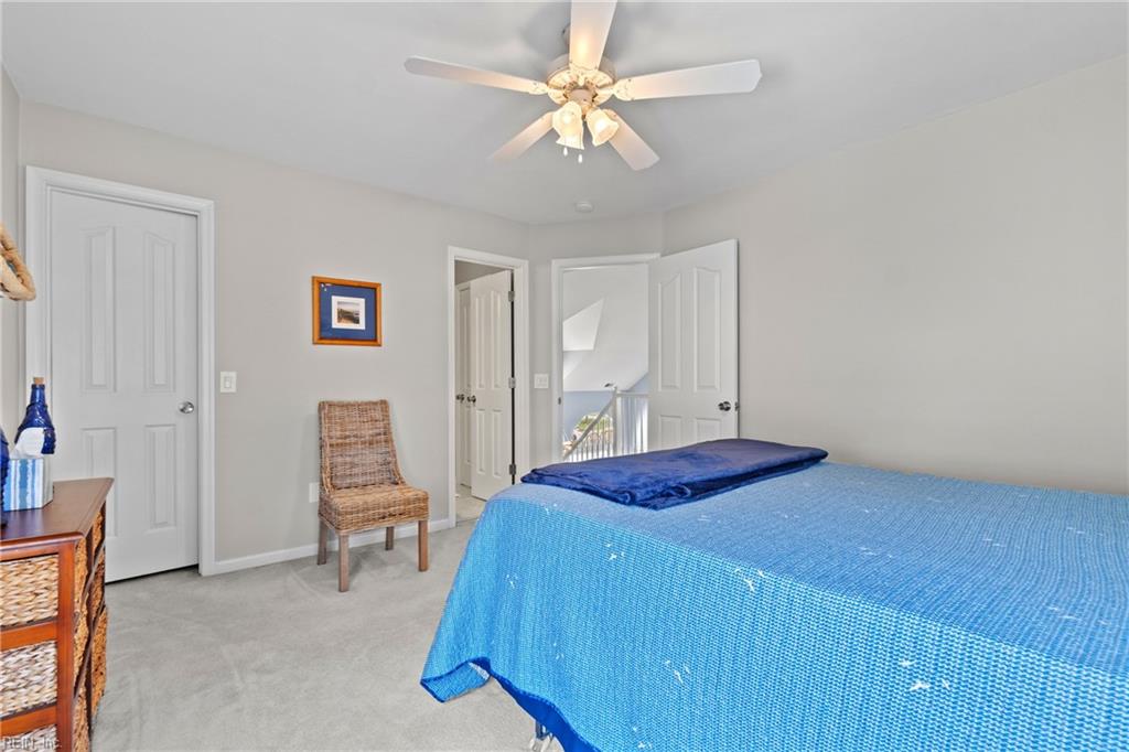 3053 Egyptian LN
