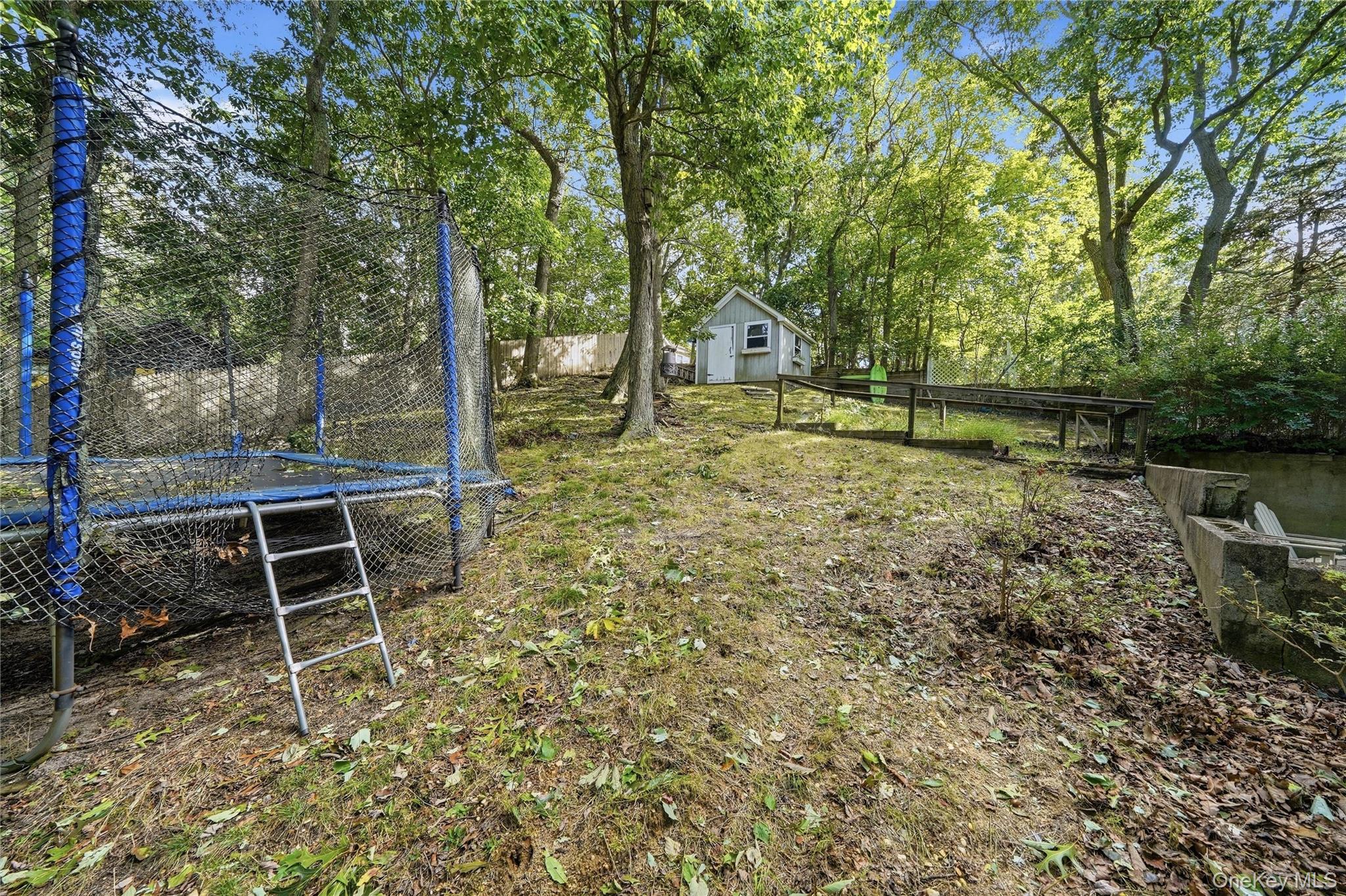 50 Dryad Road