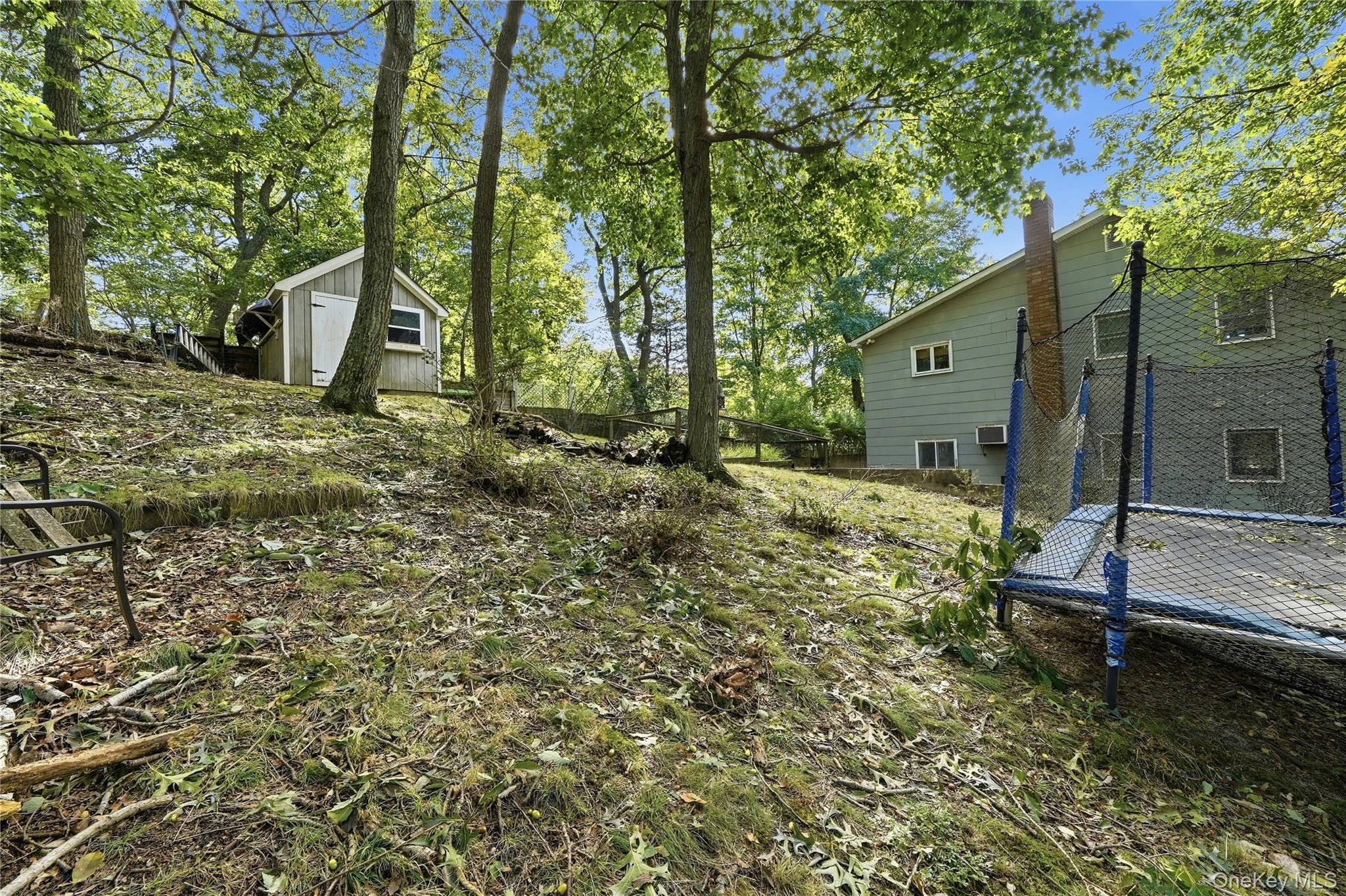 50 Dryad Road
