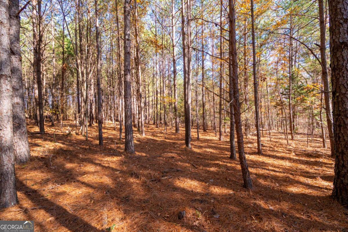 536 Wimberly Hill Road