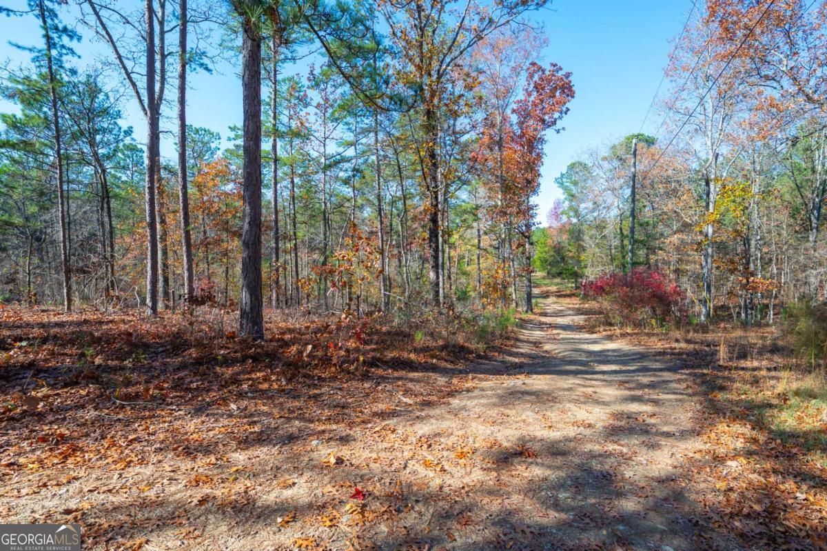 536 Wimberly Hill Road