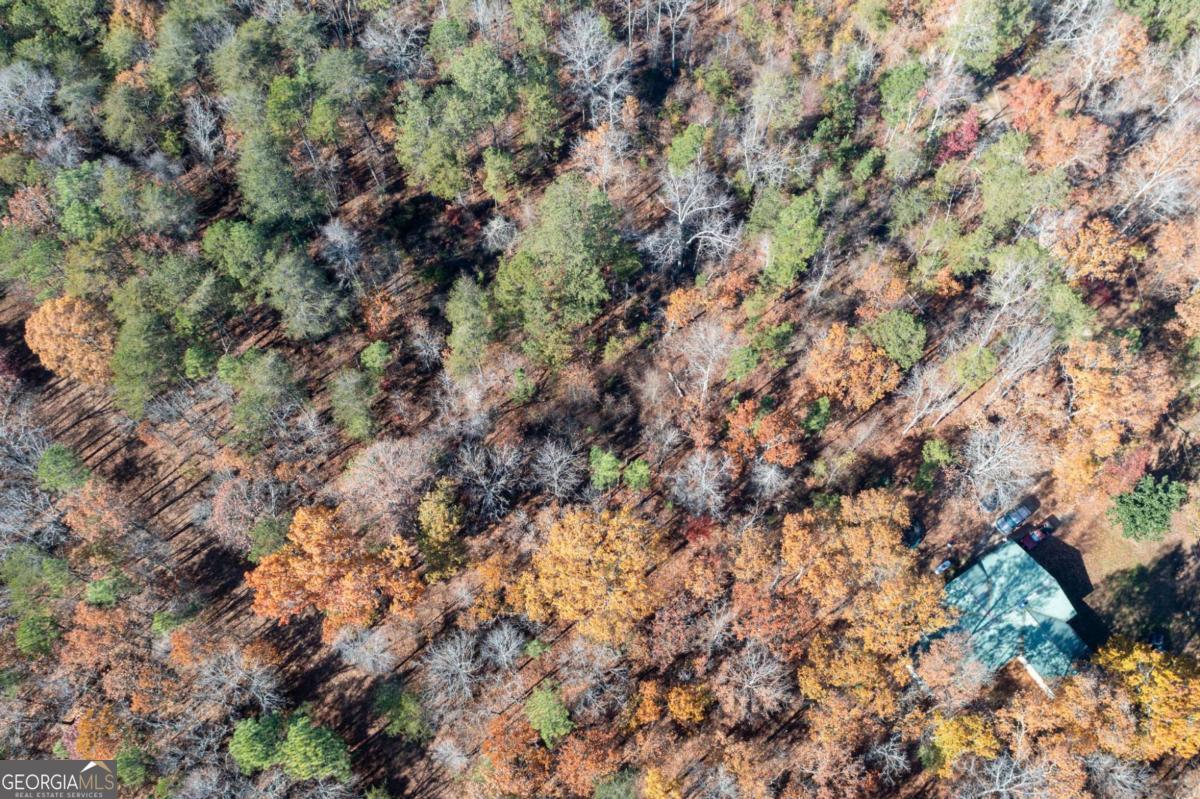 536 Wimberly Hill Road