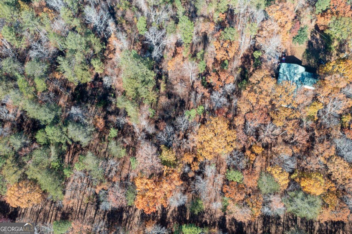 536 Wimberly Hill Road