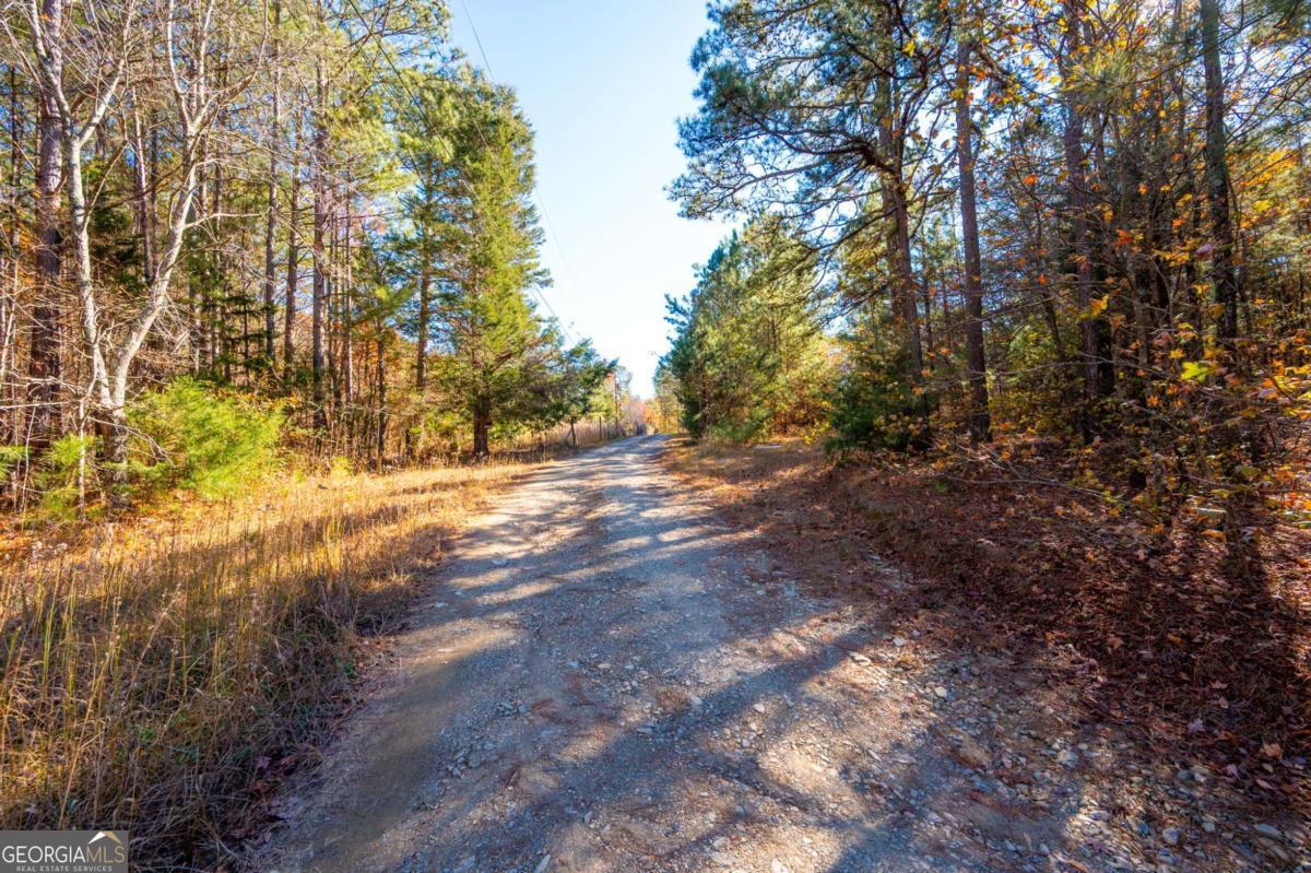 536 Wimberly Hill Road