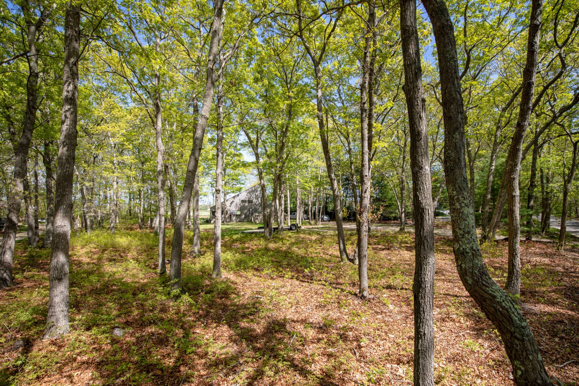 79 Noyac Path