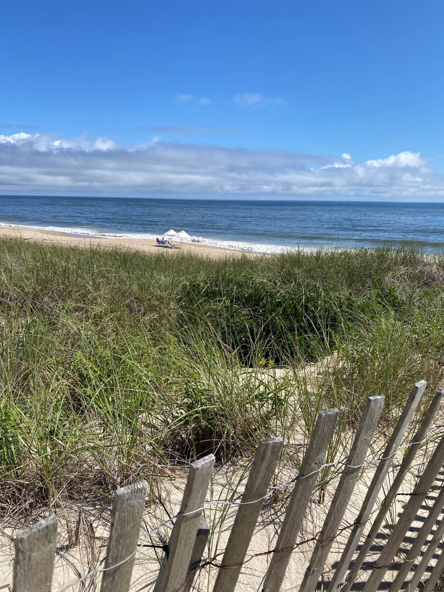 379 Bluff Road, #119