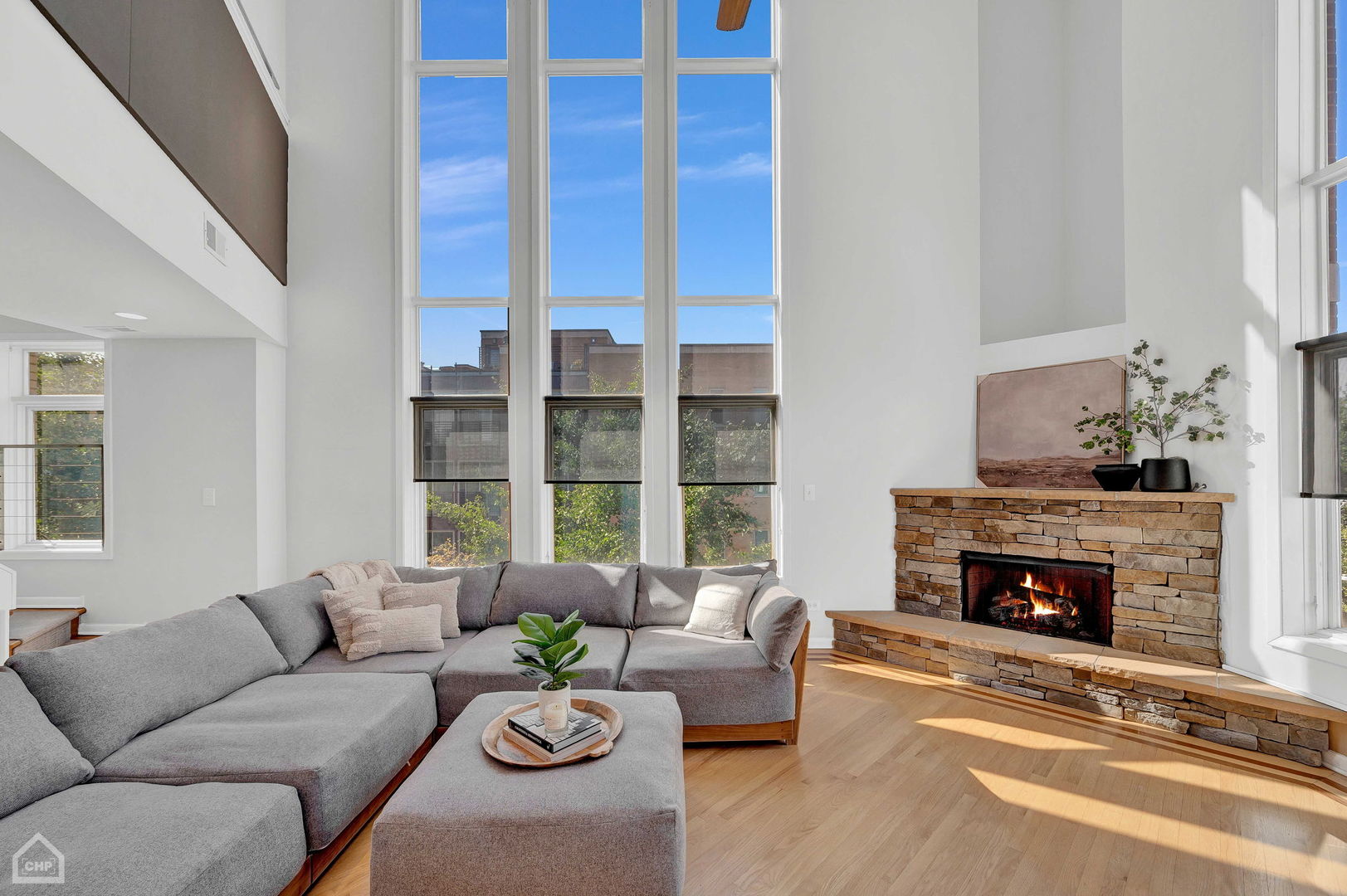 603 N Paulina Street Unit: 3N