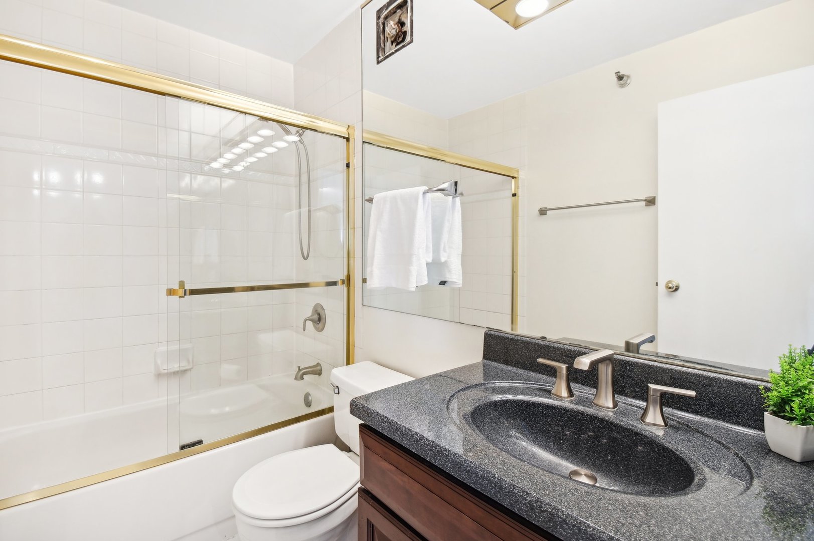 1212 N LaSalle Street Unit: 1704