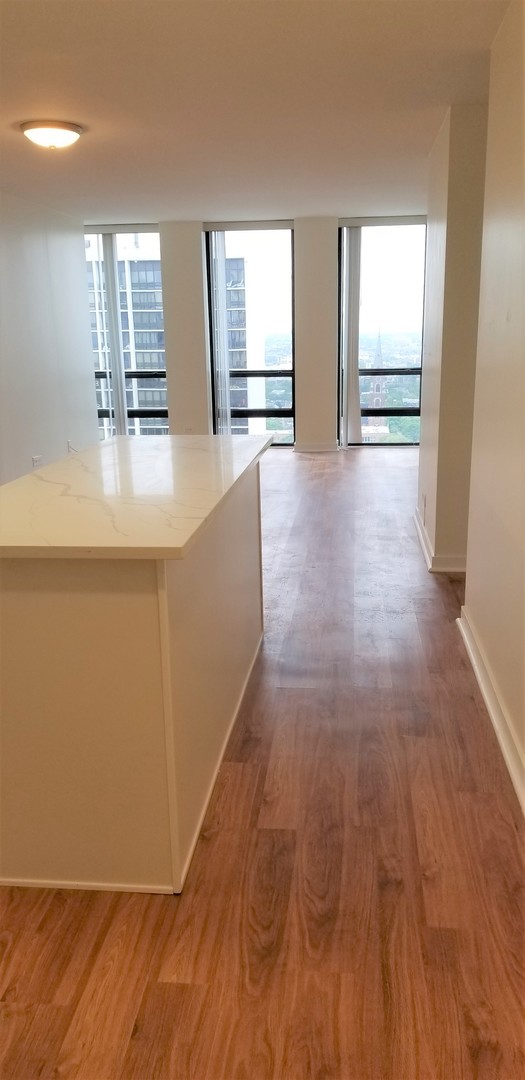 1660 N LaSalle Drive Unit: 3010