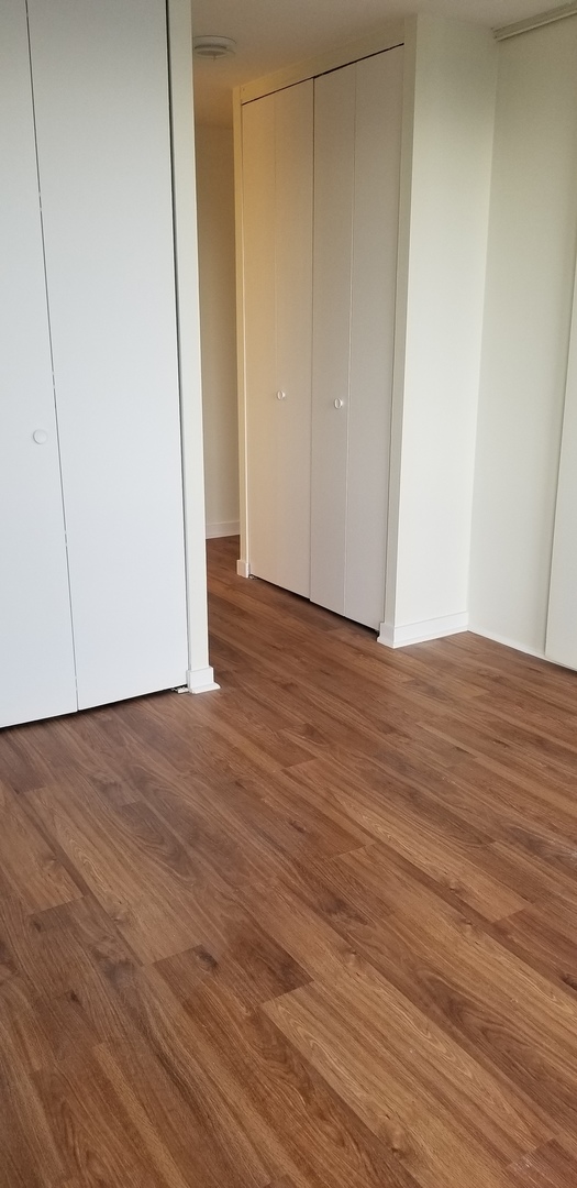 1660 N LaSalle Drive Unit: 3010