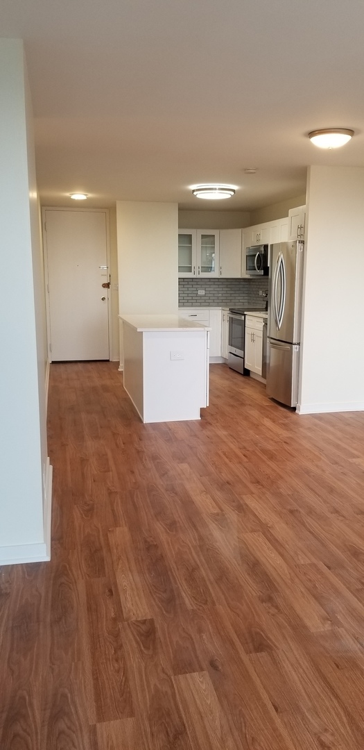 1660 N LaSalle Drive Unit: 3010
