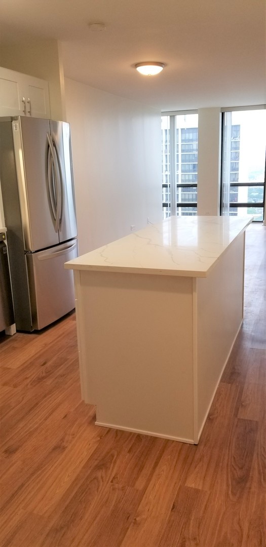 1660 N LaSalle Drive Unit: 3010